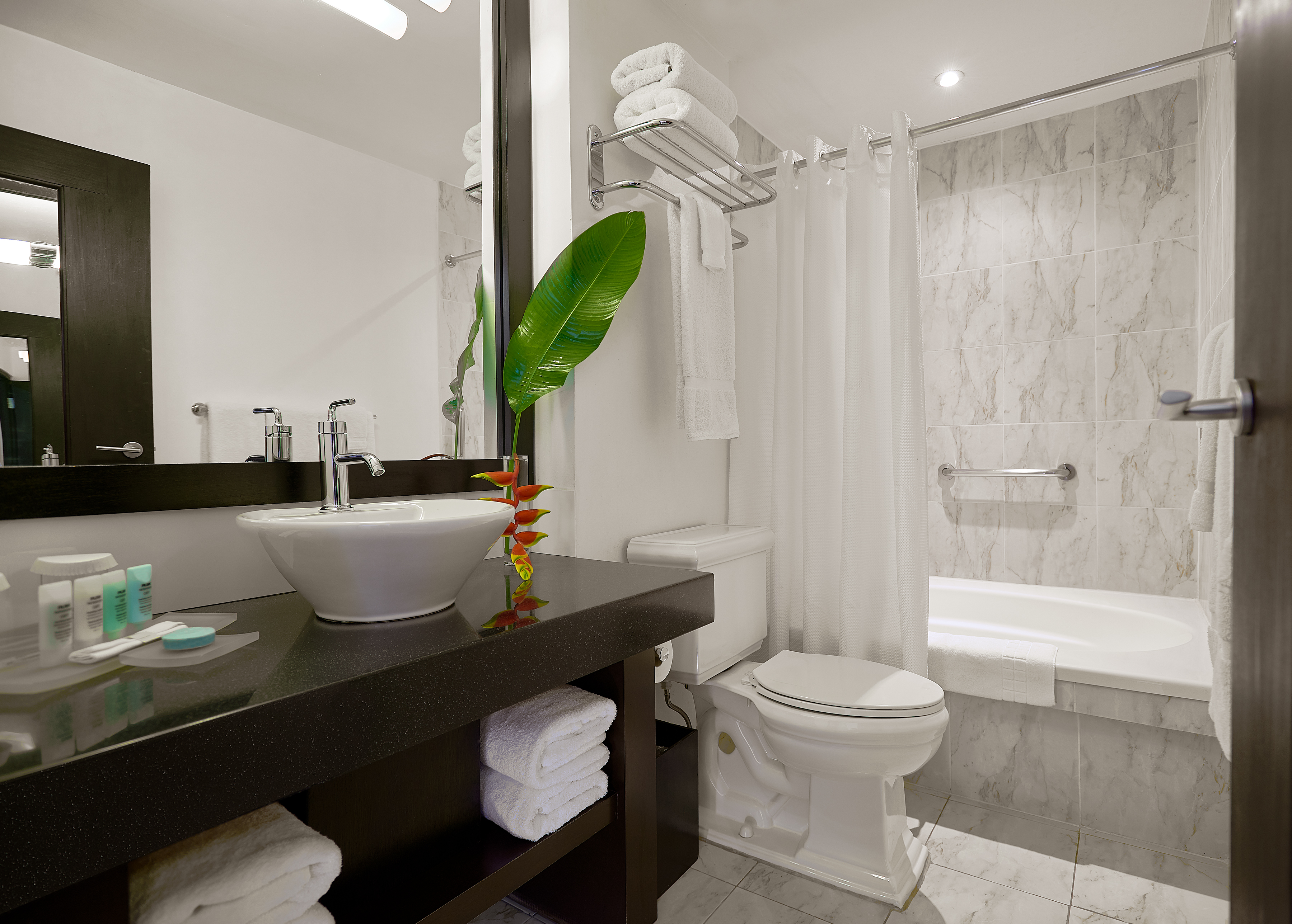 S Hotel Kingston by null