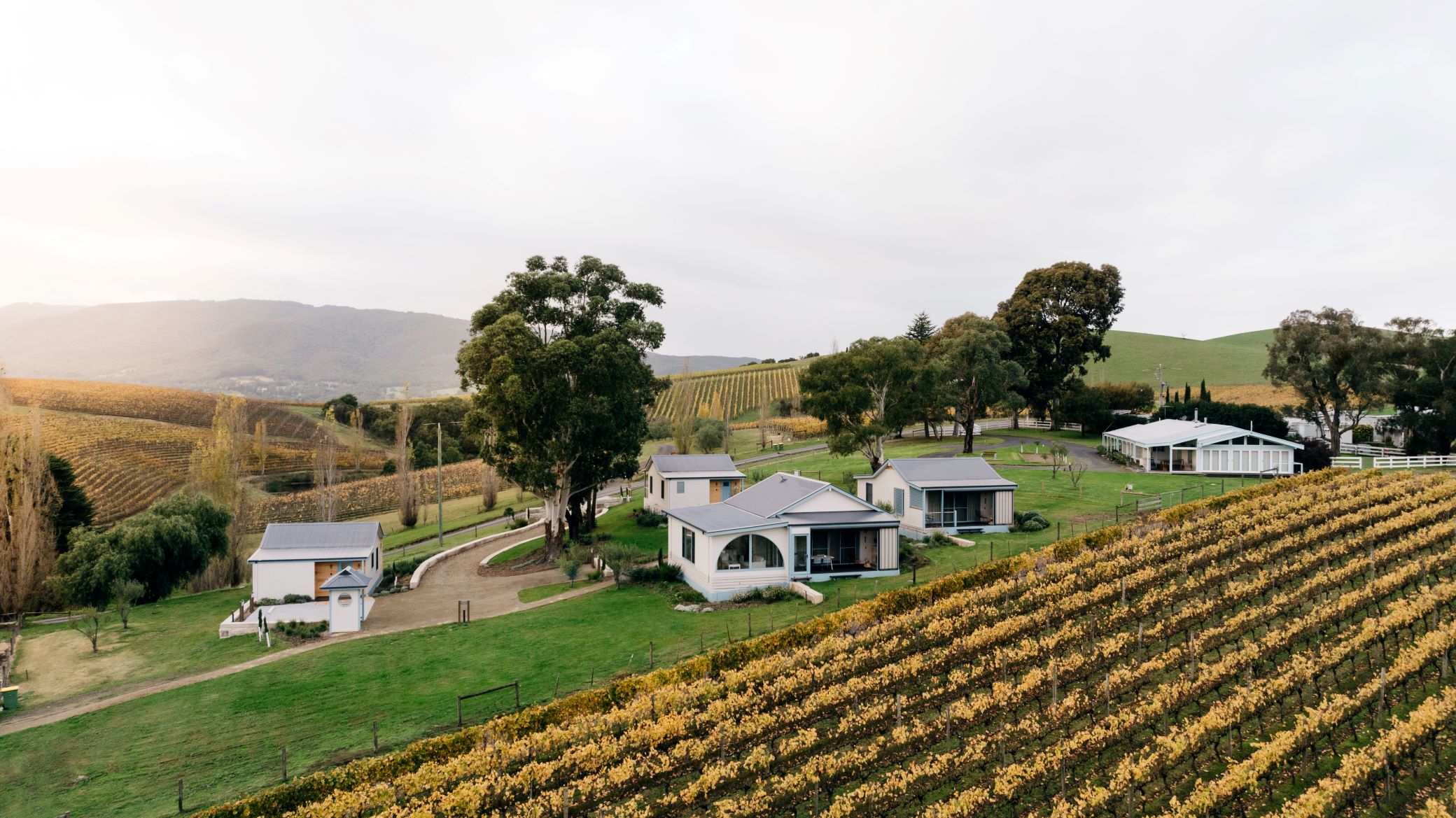 Exterior & Views 3, SOUMAH of Yarra Valley, Yarra Ranges - Seville