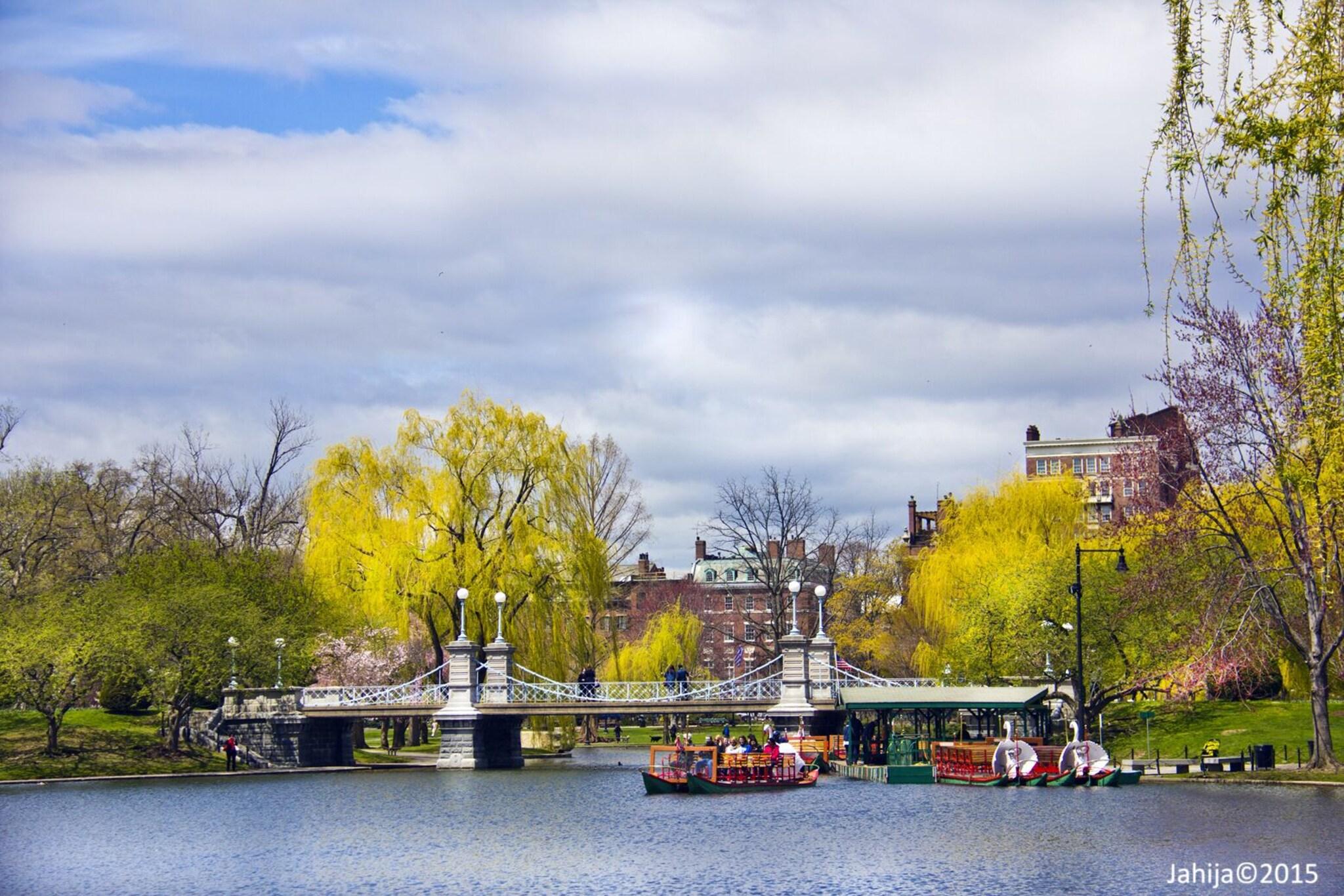 The Colonnade Hotel by null The Colonnade Hotel by null