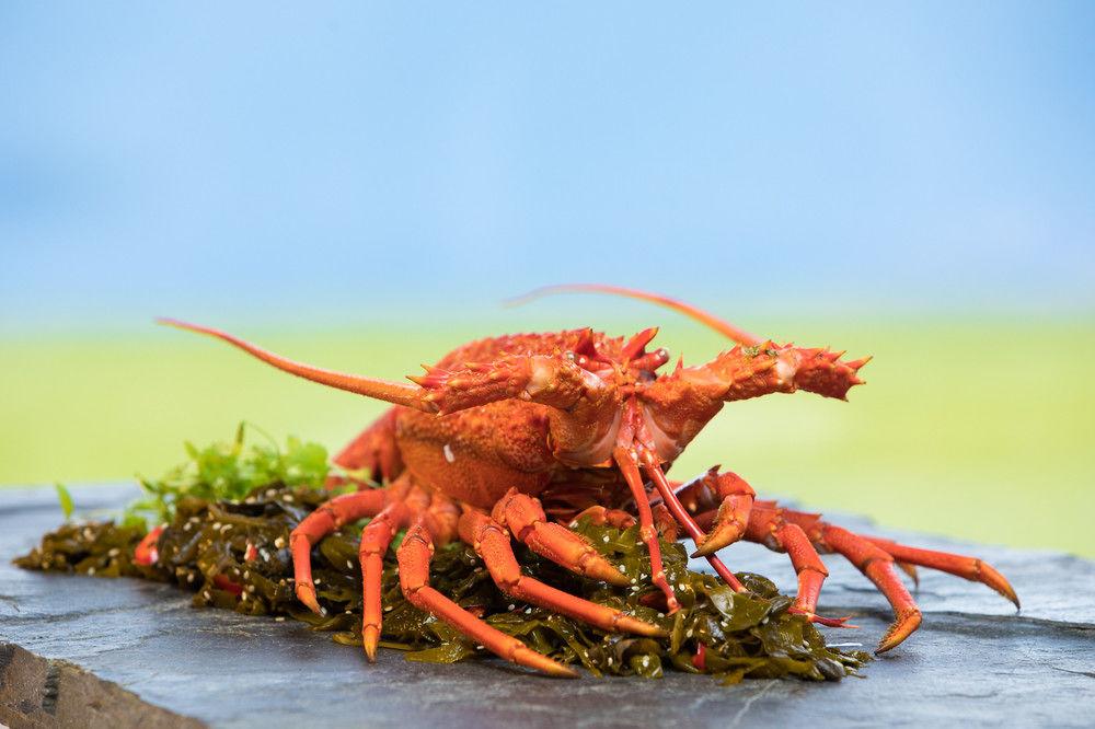 Fiordland Lodge Te Anau by null