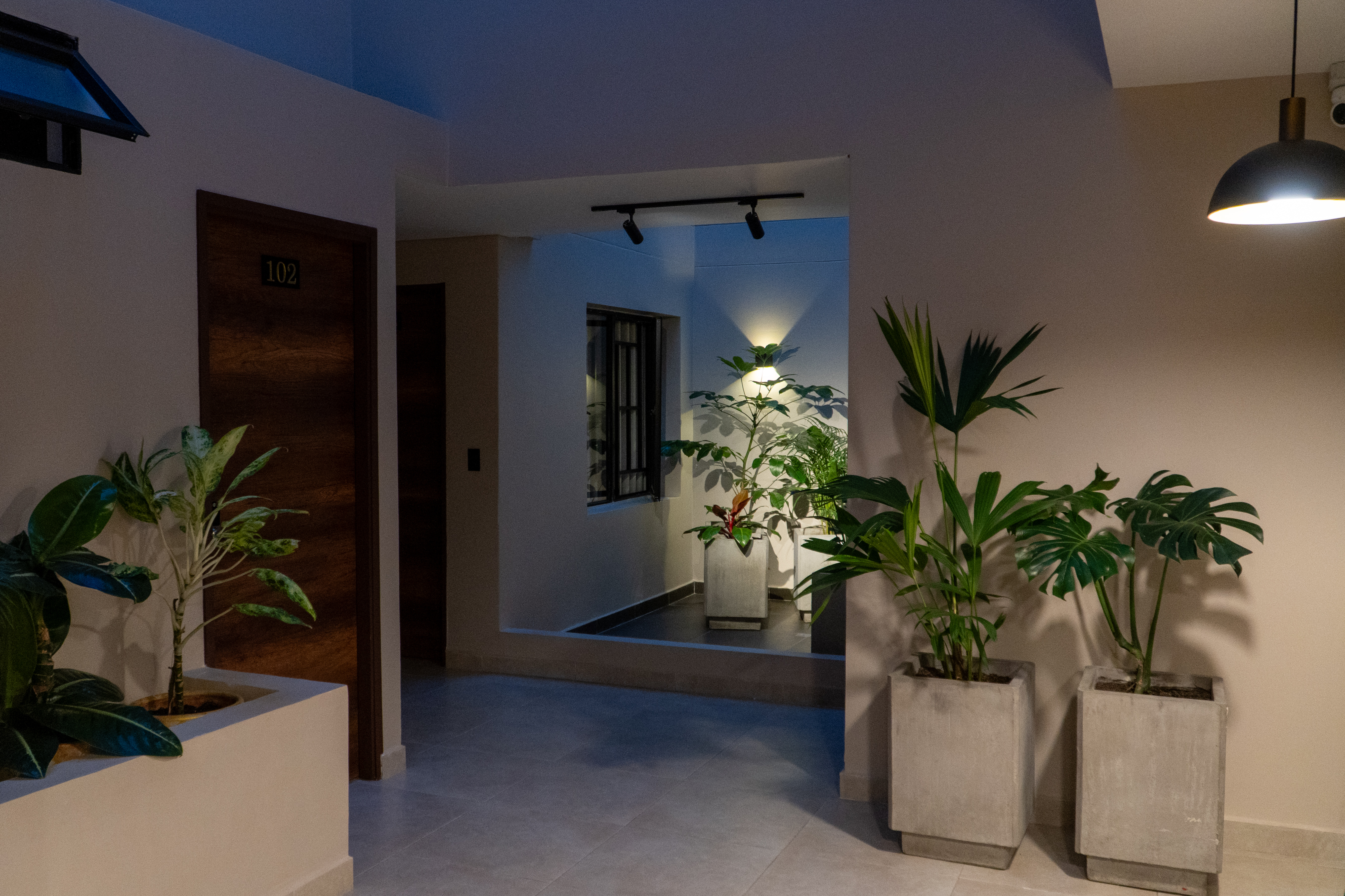 Apartaestudios Zeni