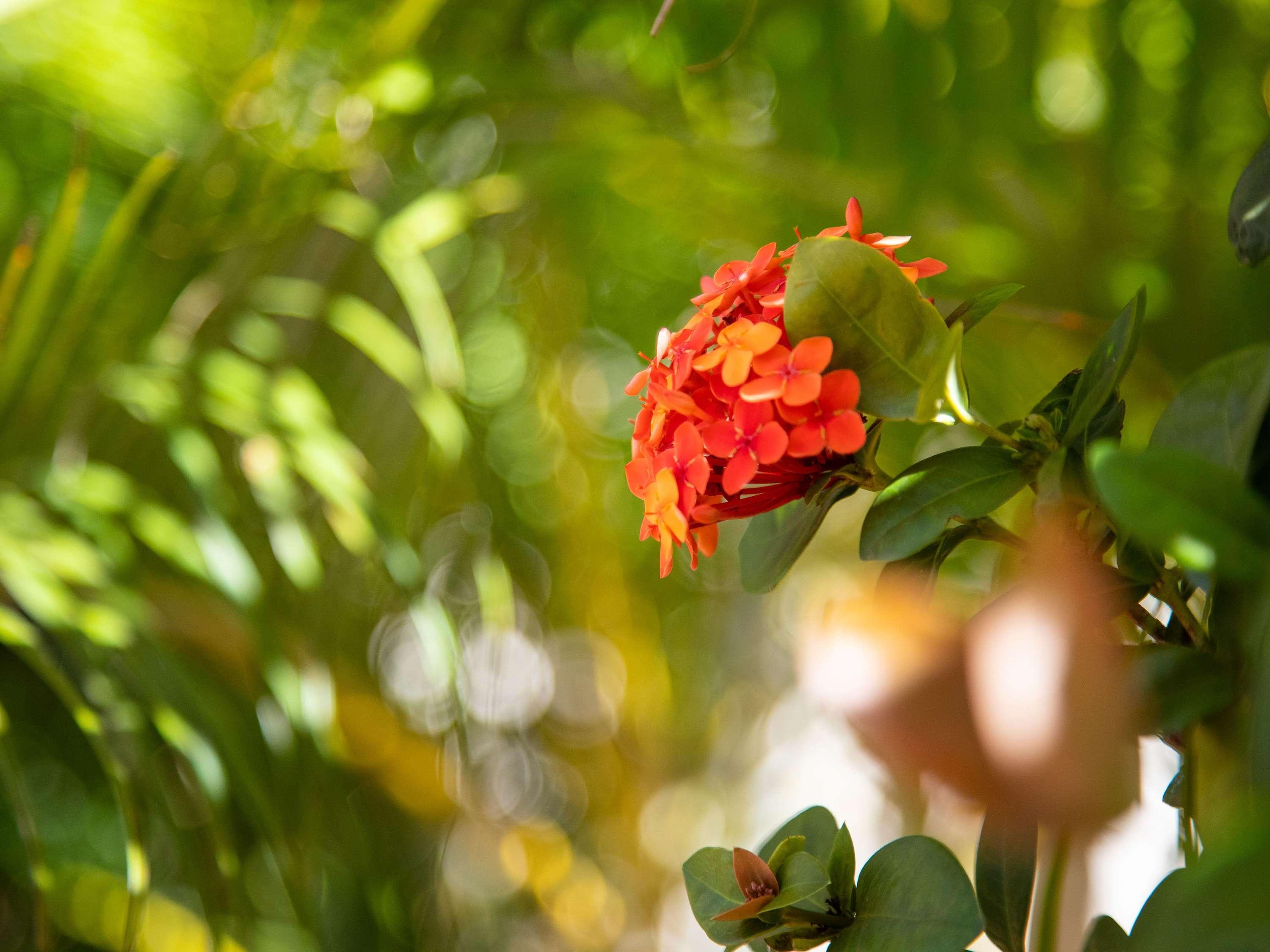 BreakFree Adelaide by null