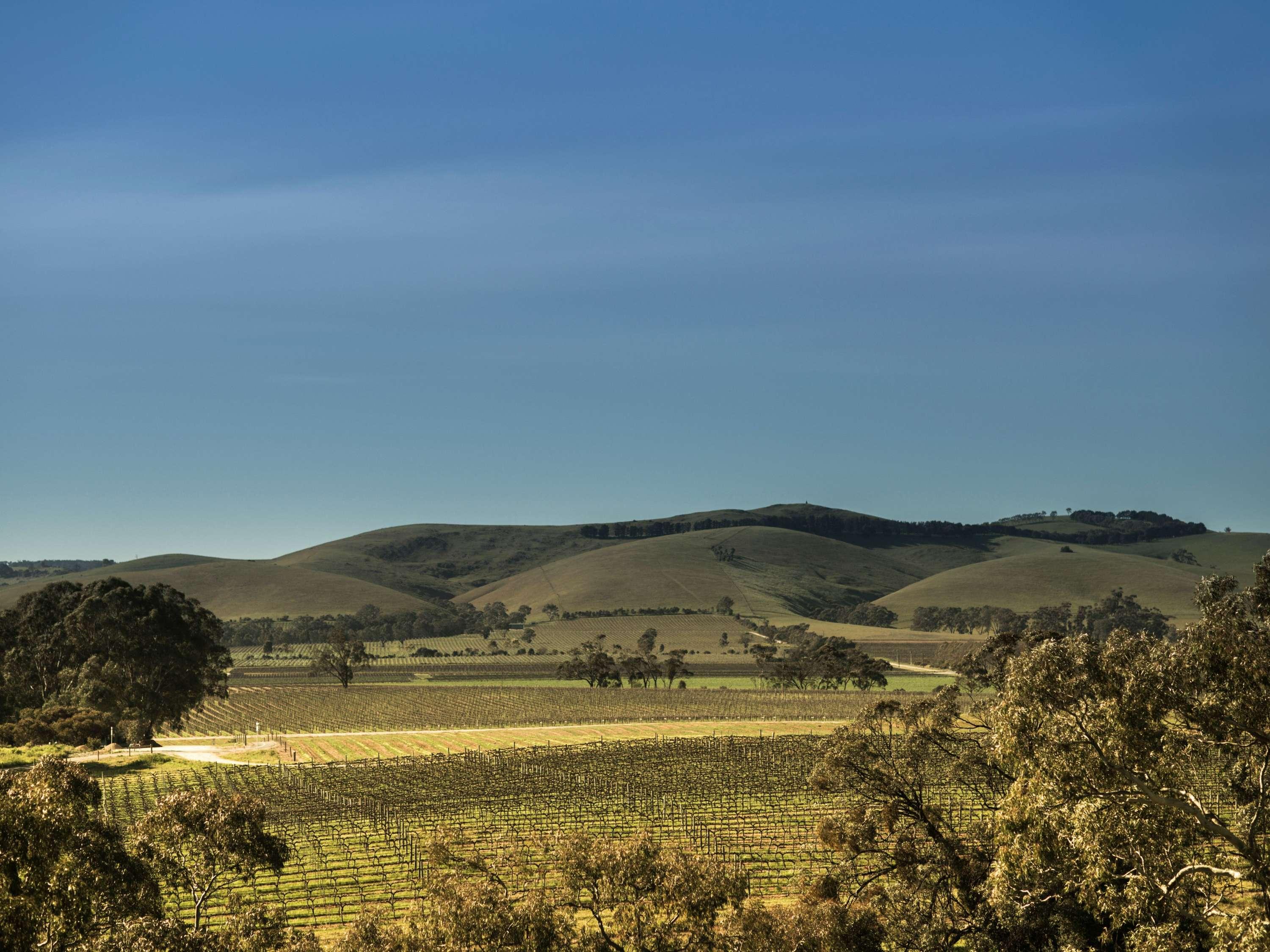 BreakFree Adelaide by null