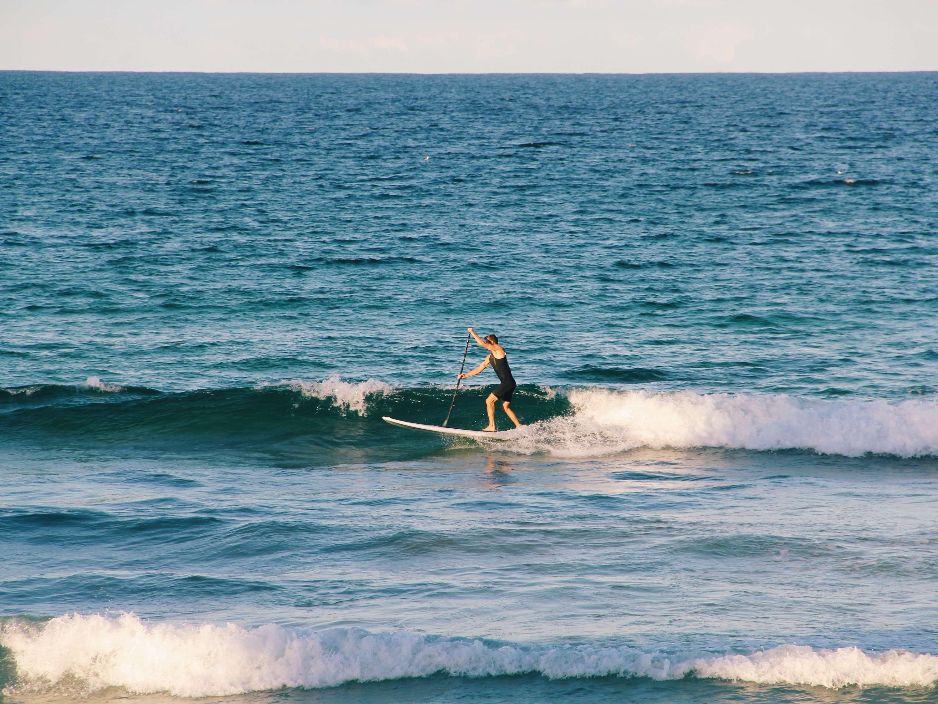 Manly Pacific Hotel Sydney - MGallery Collection by null