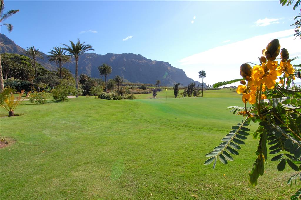 Hotel Hacienda del Conde Meliá Collection Golf & Spa Adults Only by null