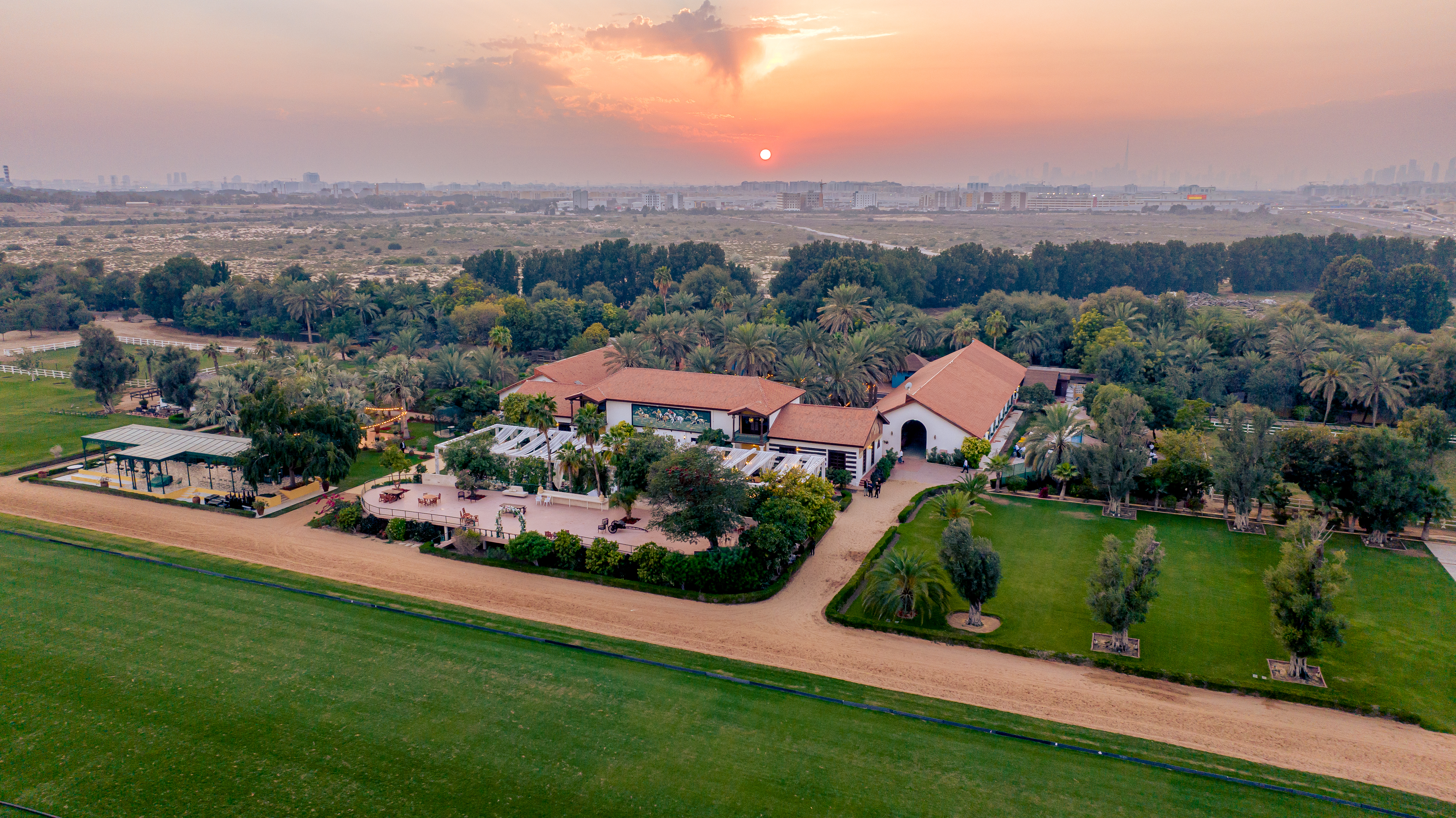 Melia Desert Palm Member of Melia Collection - photo