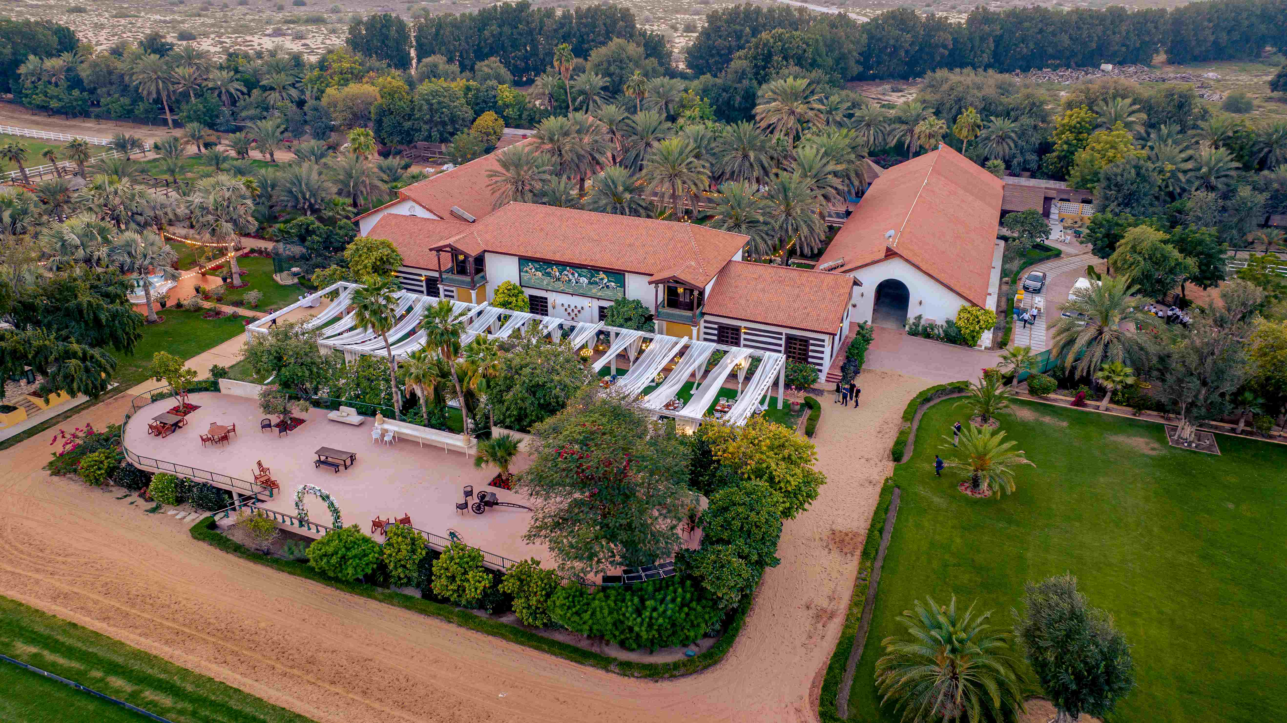 Melia Desert Palm Member of Melia Collection - photo