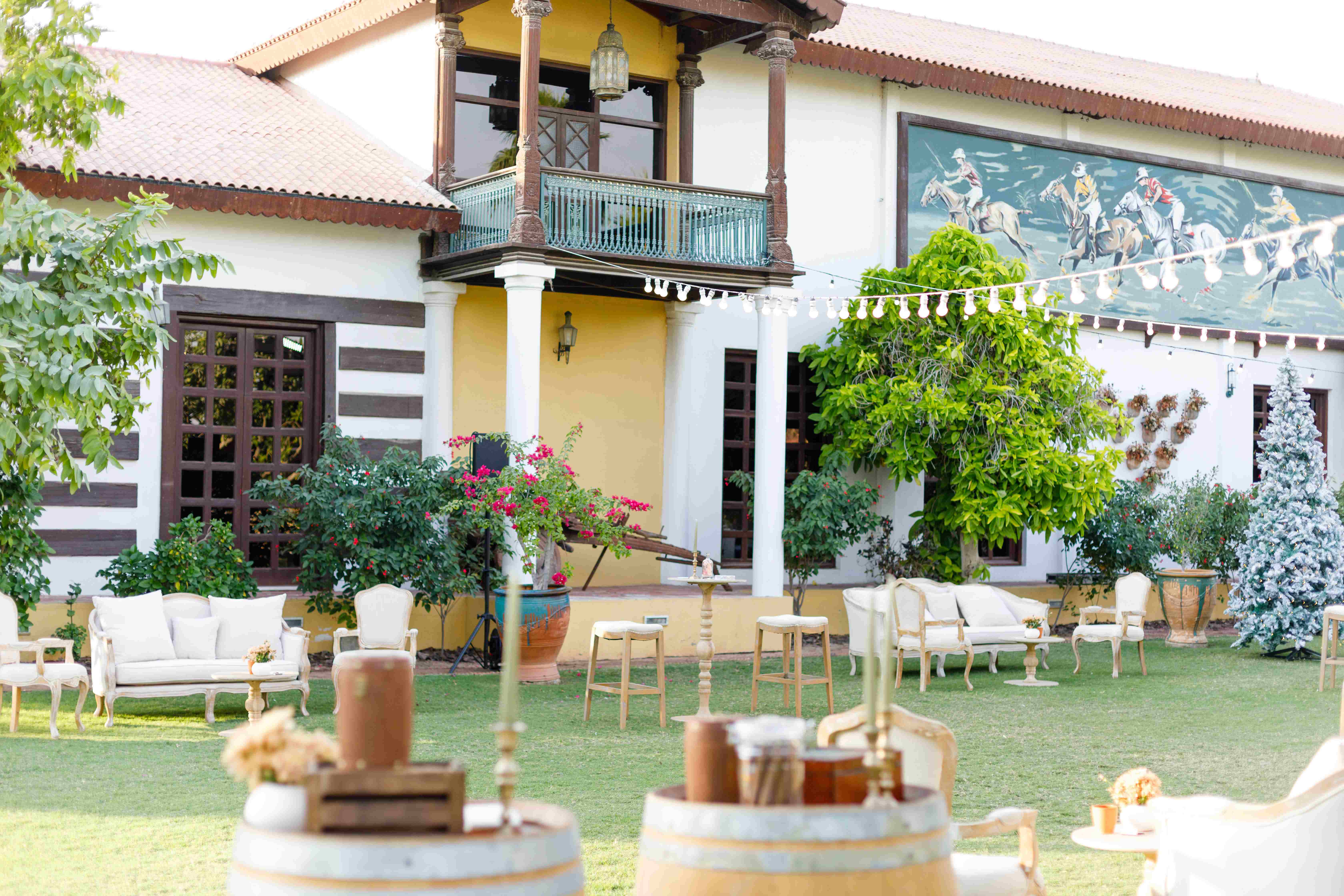 Melia Desert Palm Member of Melia Collection - photo