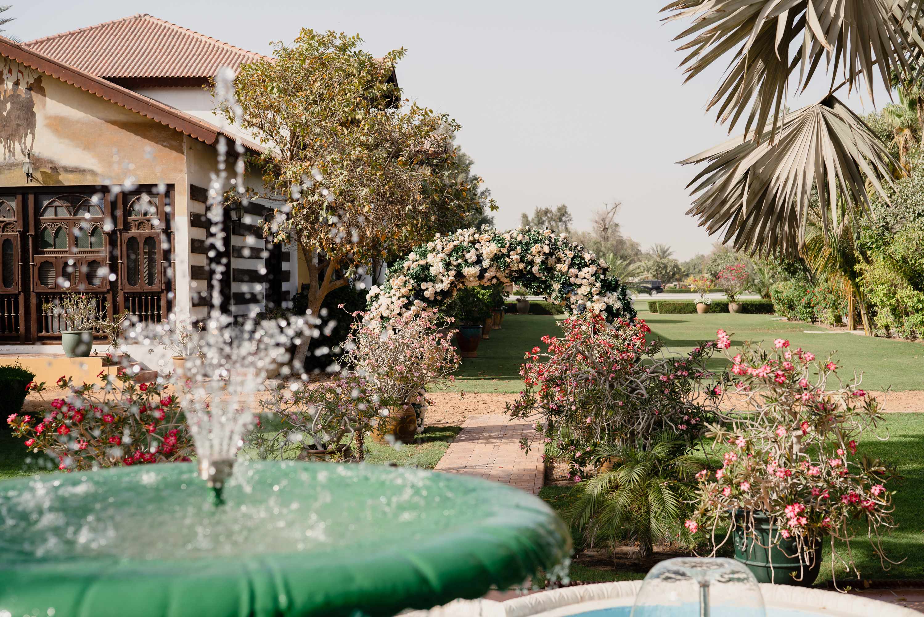 Melia Desert Palm Member of Melia Collection - photo