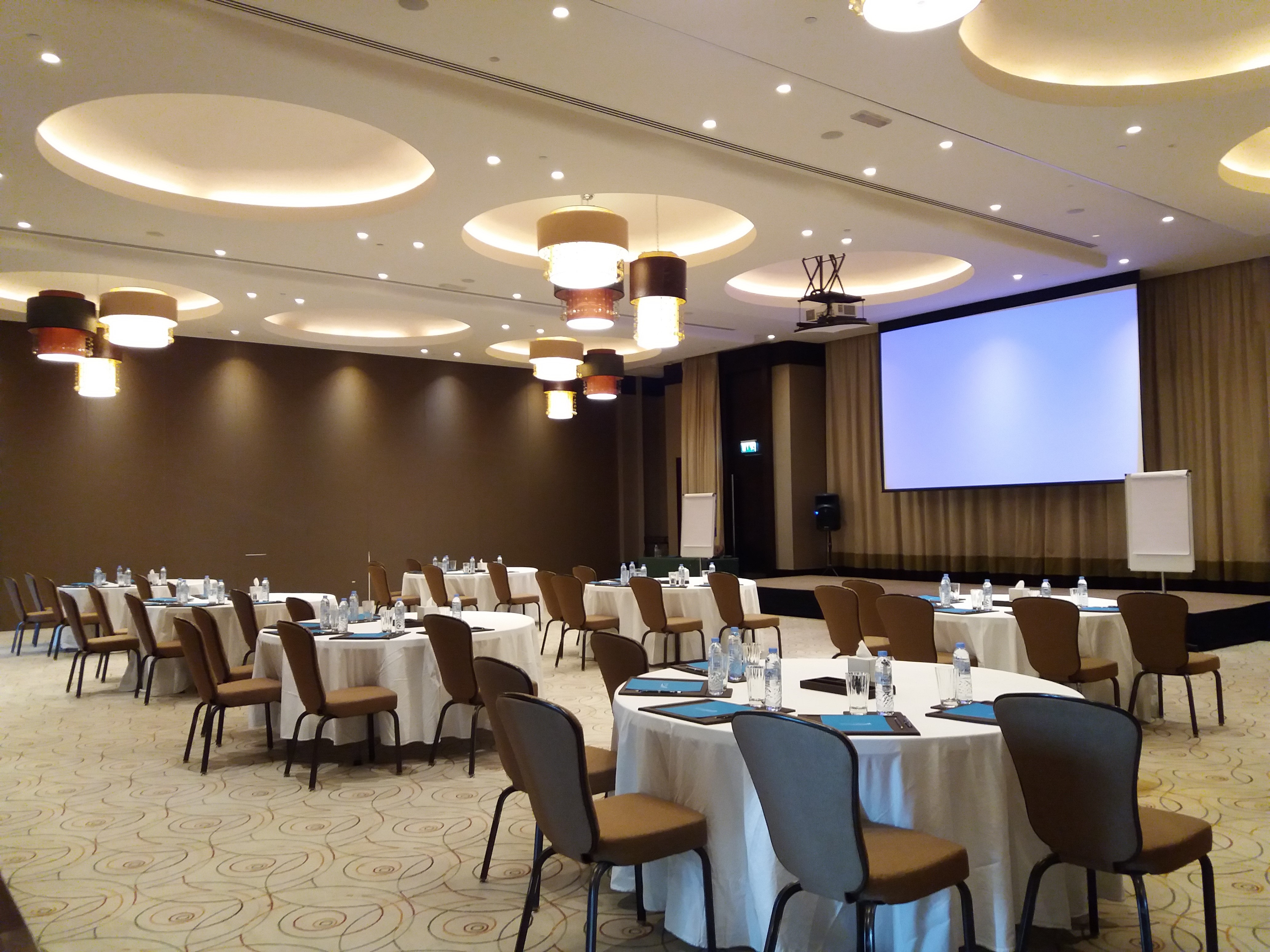 Melia Desert Palm Member of Melia Collection - photo