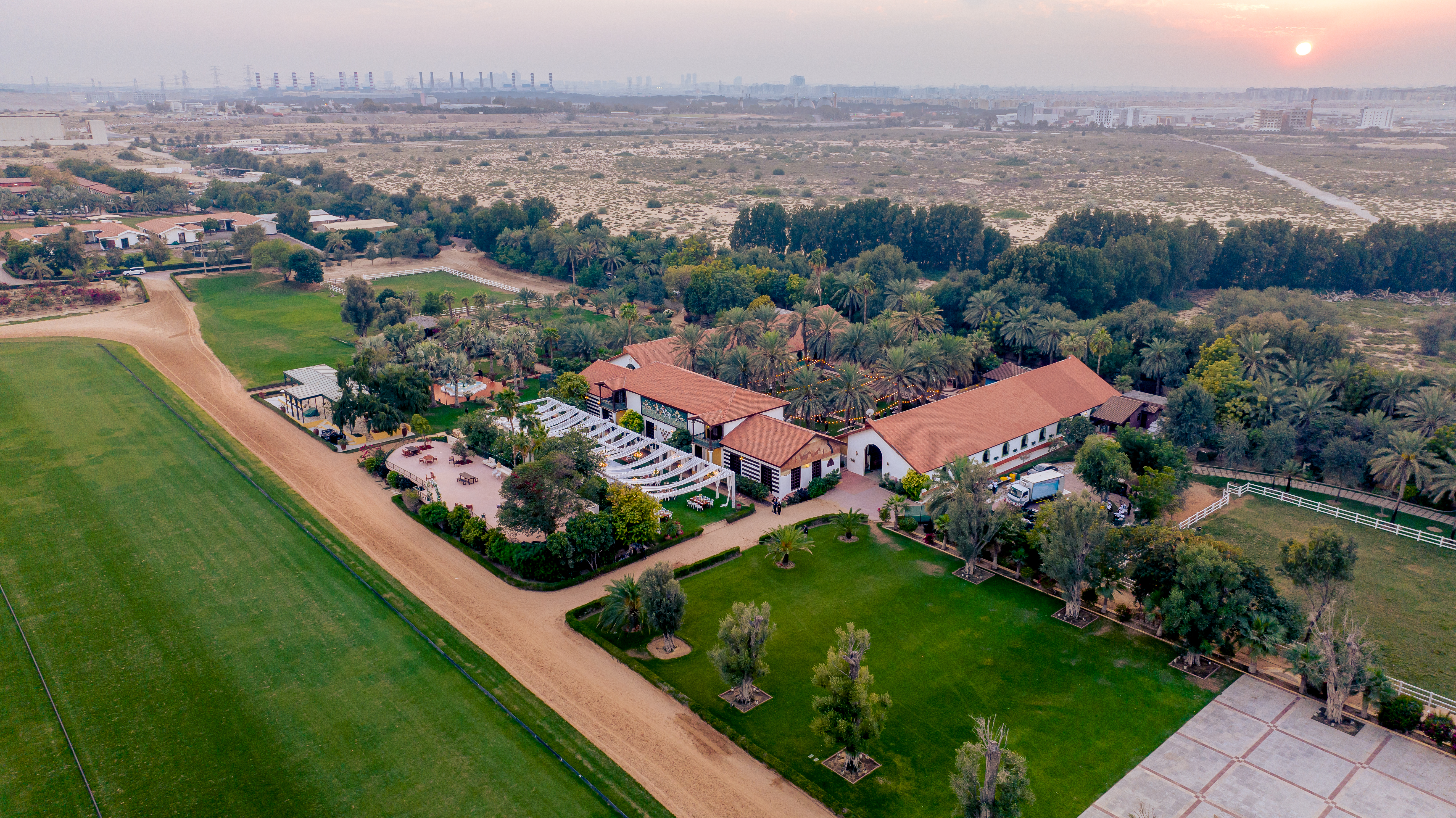 Melia Desert Palm Member of Melia Collection - photo