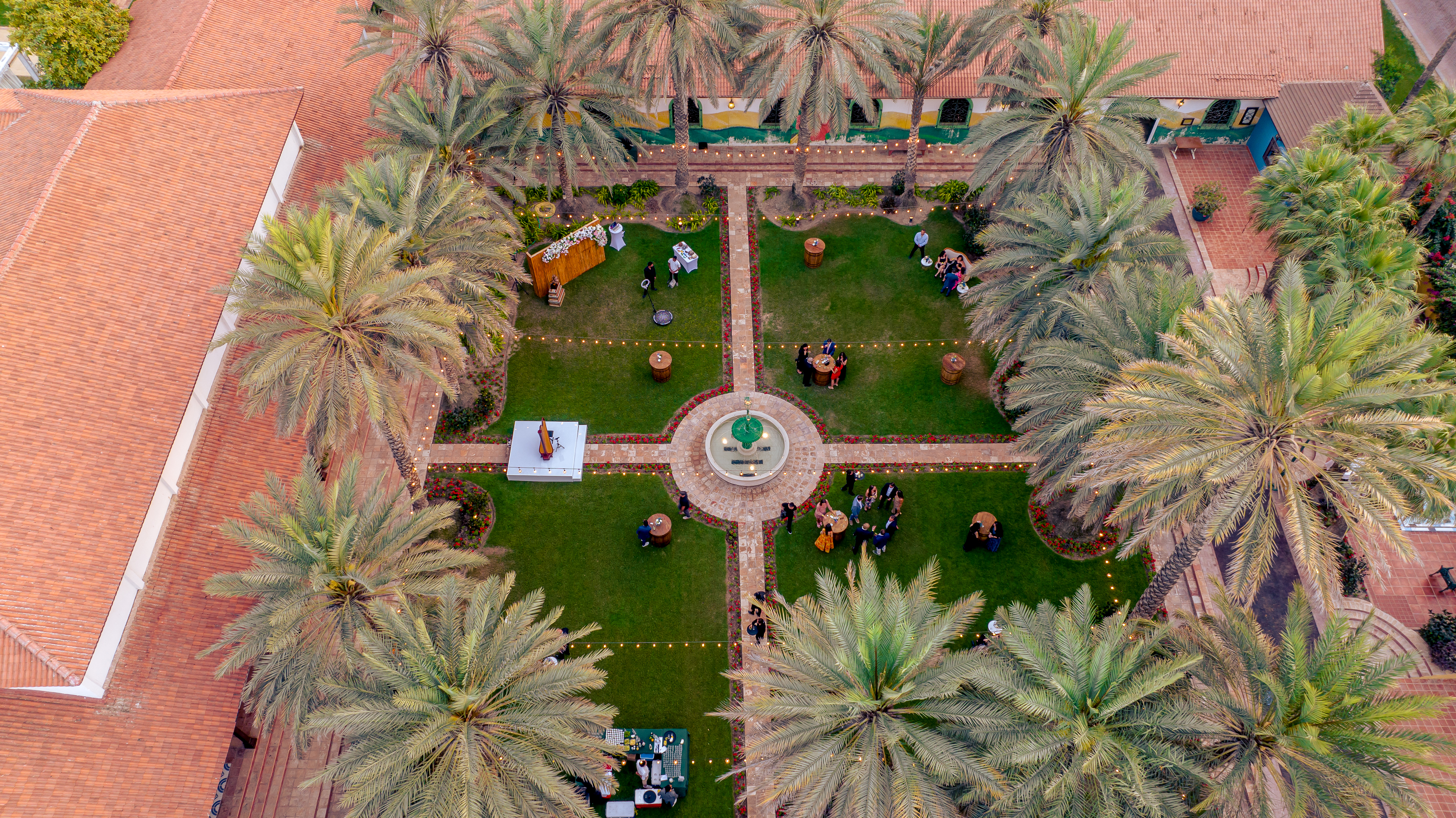 Melia Desert Palm Member of Melia Collection - photo