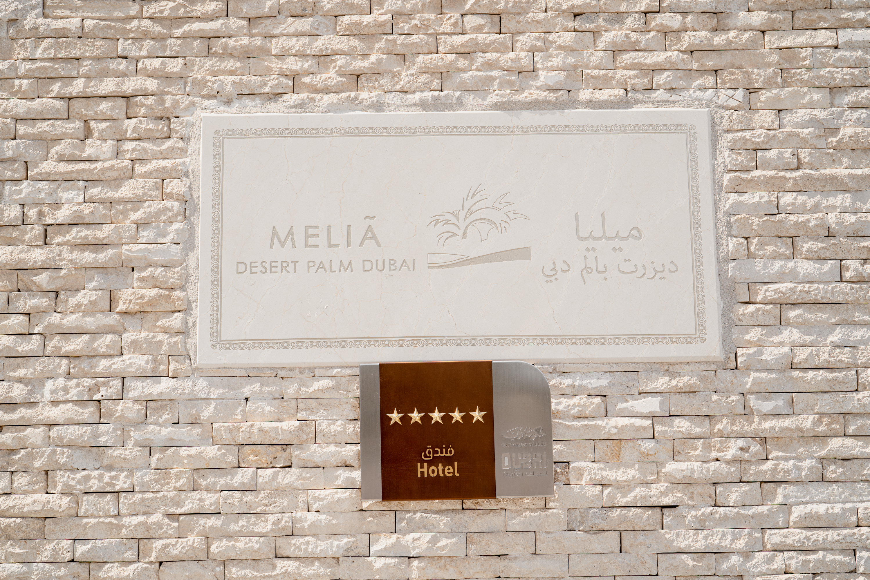 Melia Desert Palm Member of Melia Collection - photo