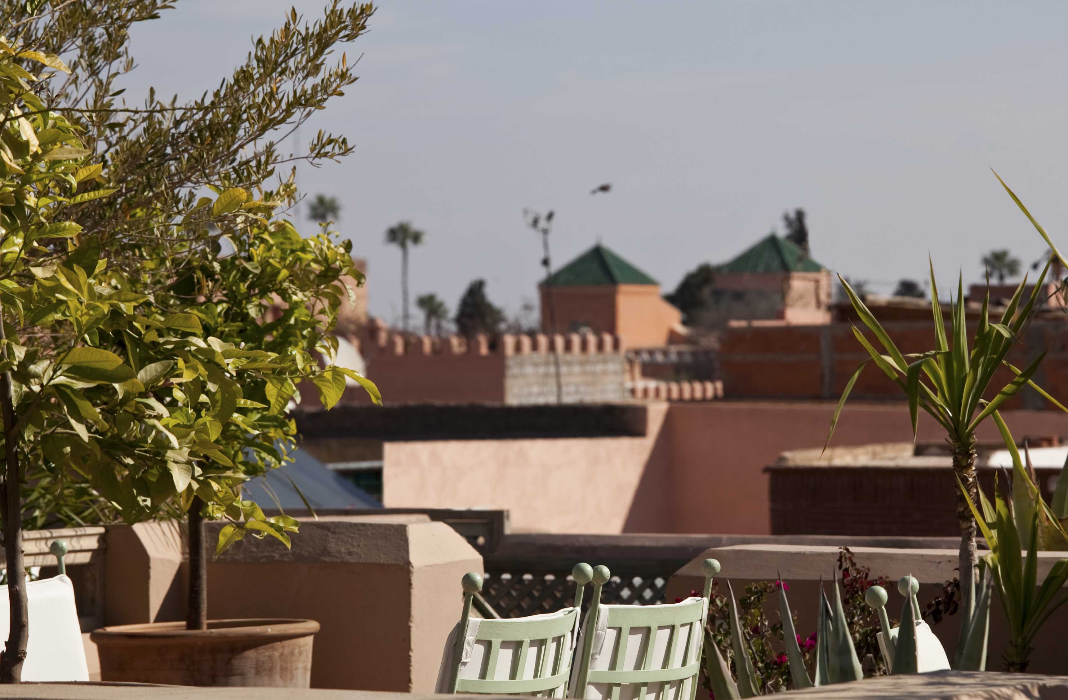 Les Jardins de la Medina by null