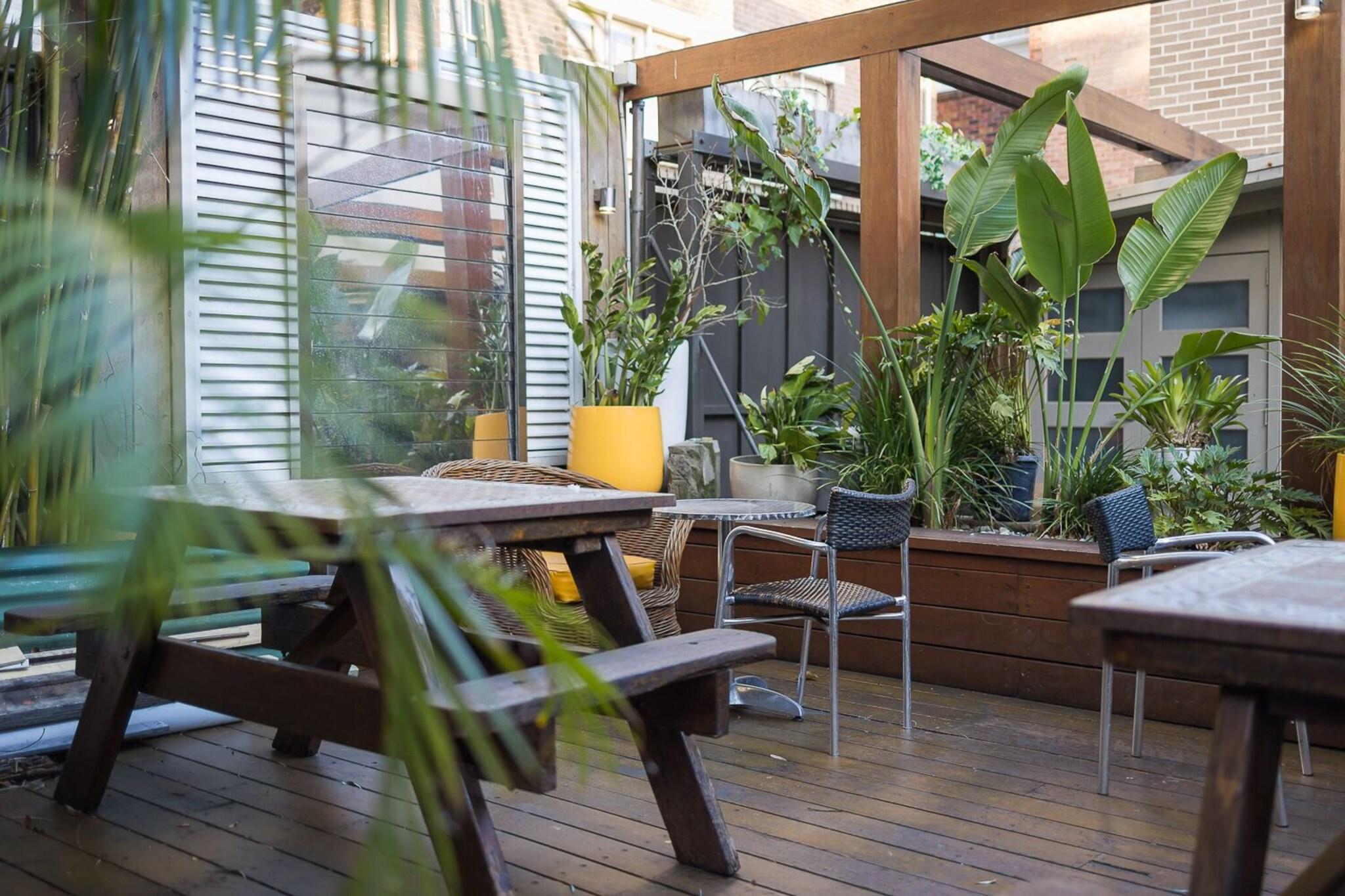 London Plane Backpackers