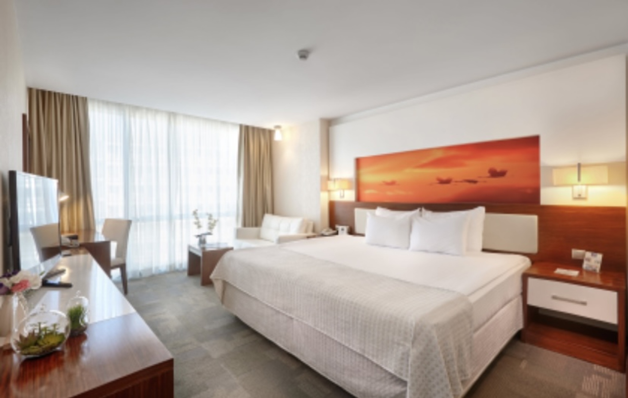 Room, deluxe
