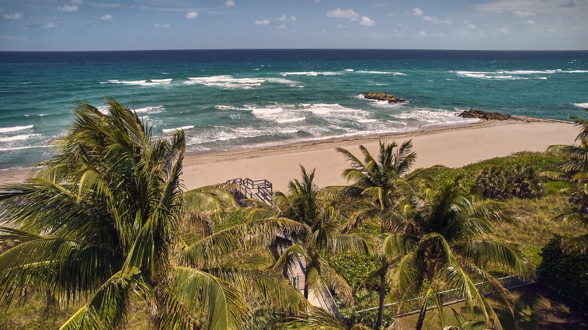 Beach Club at The Boca Raton by null