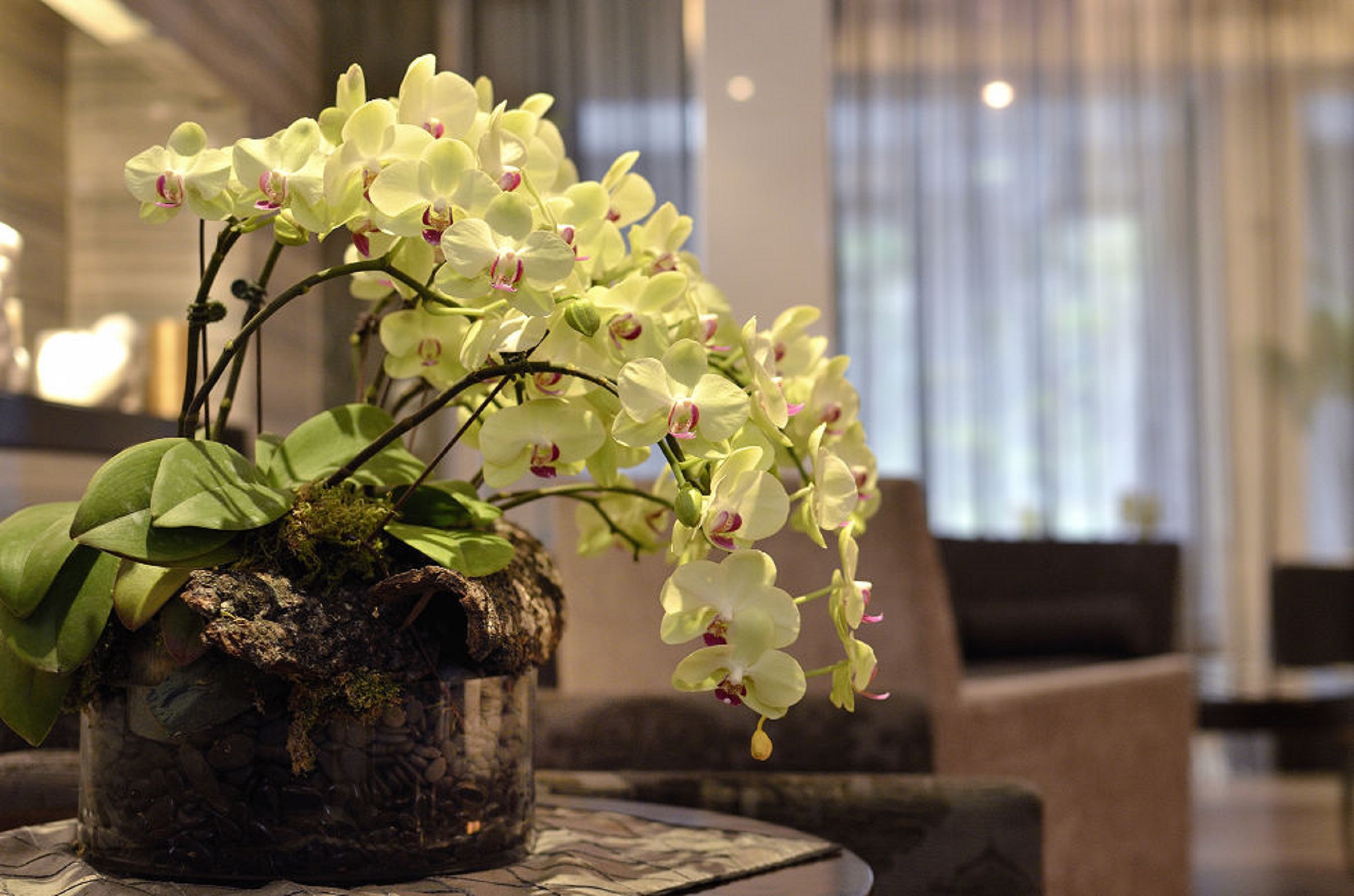 Taipei Fullerton Hotel-Fuxing South by null