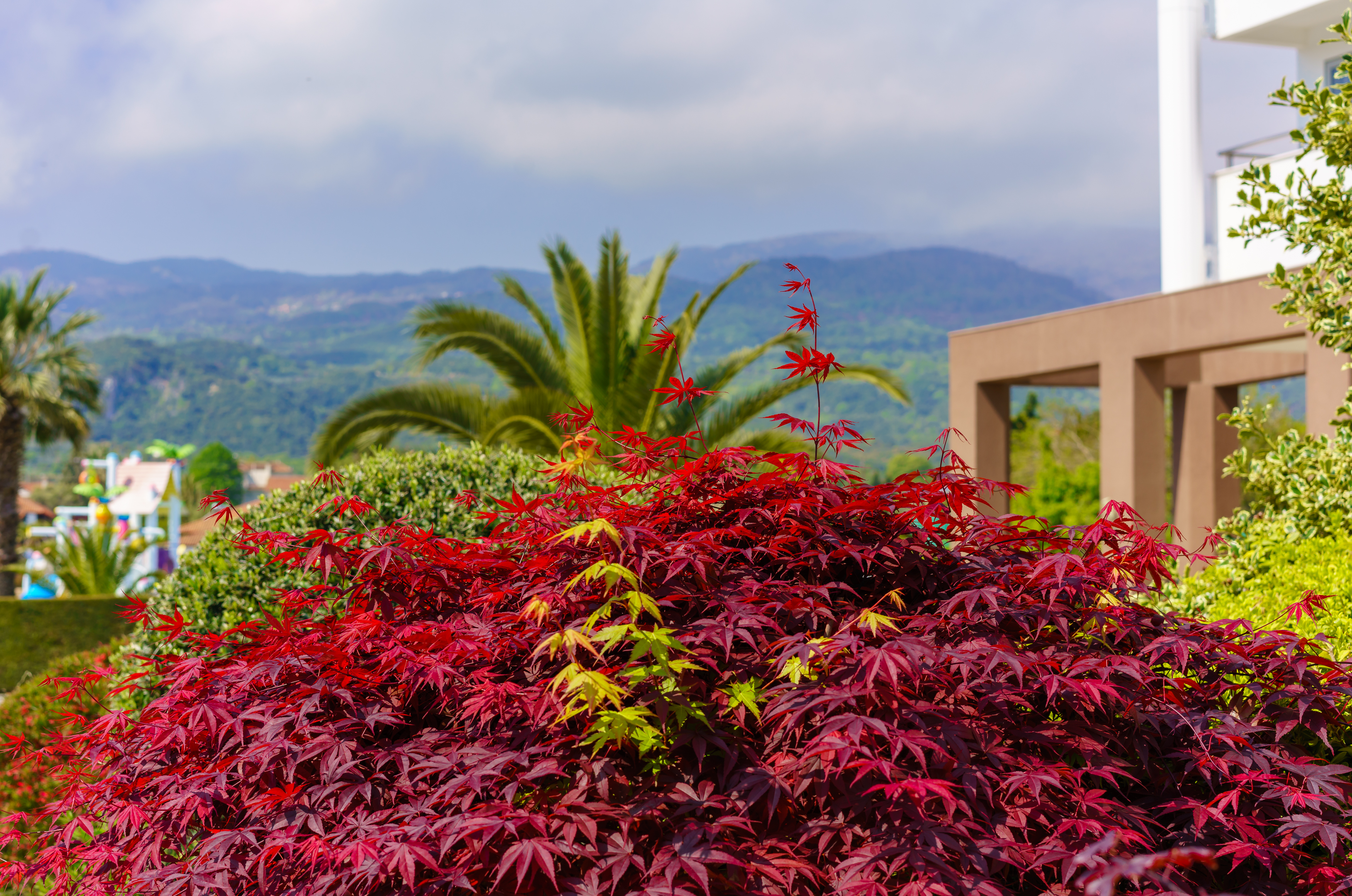 Cronwell Platamon Resort - фото