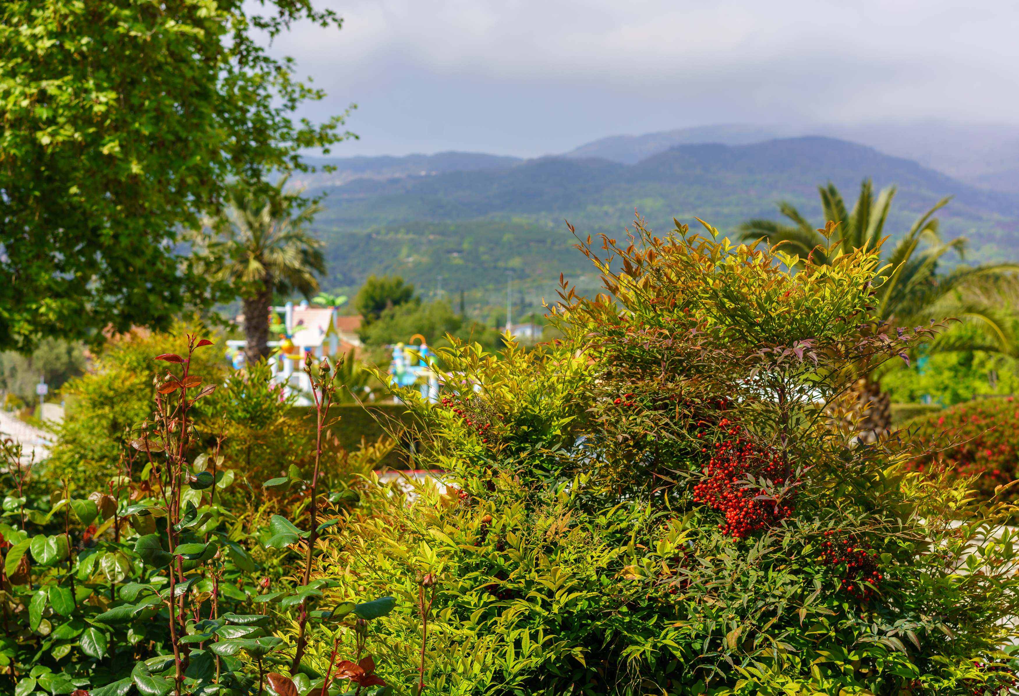 Cronwell Platamon Resort - фото