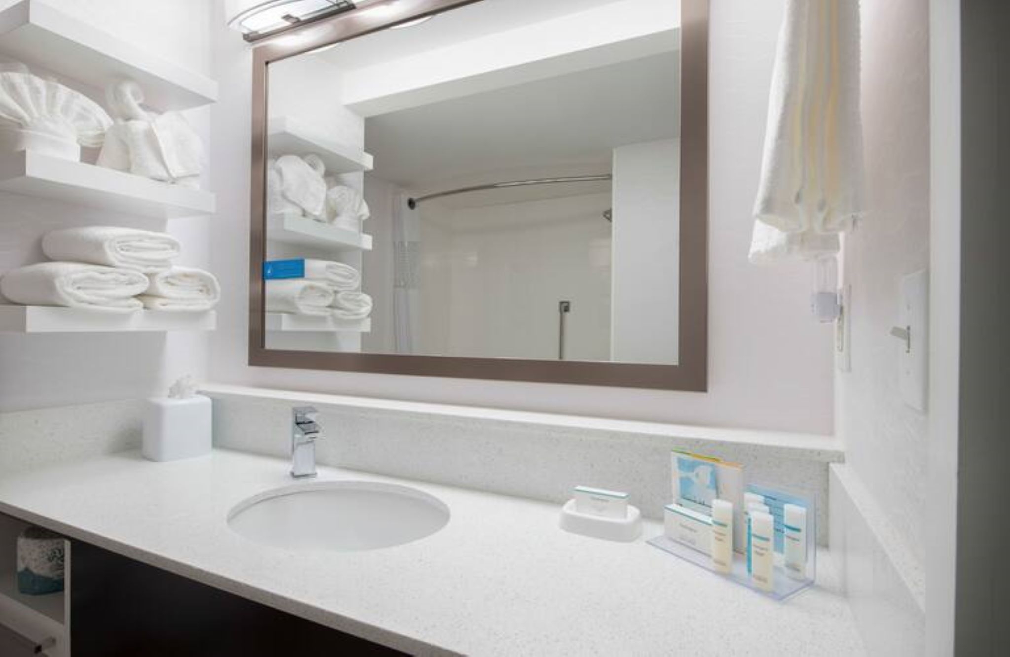Hampton Inn & Suites Atlanta-Galleria