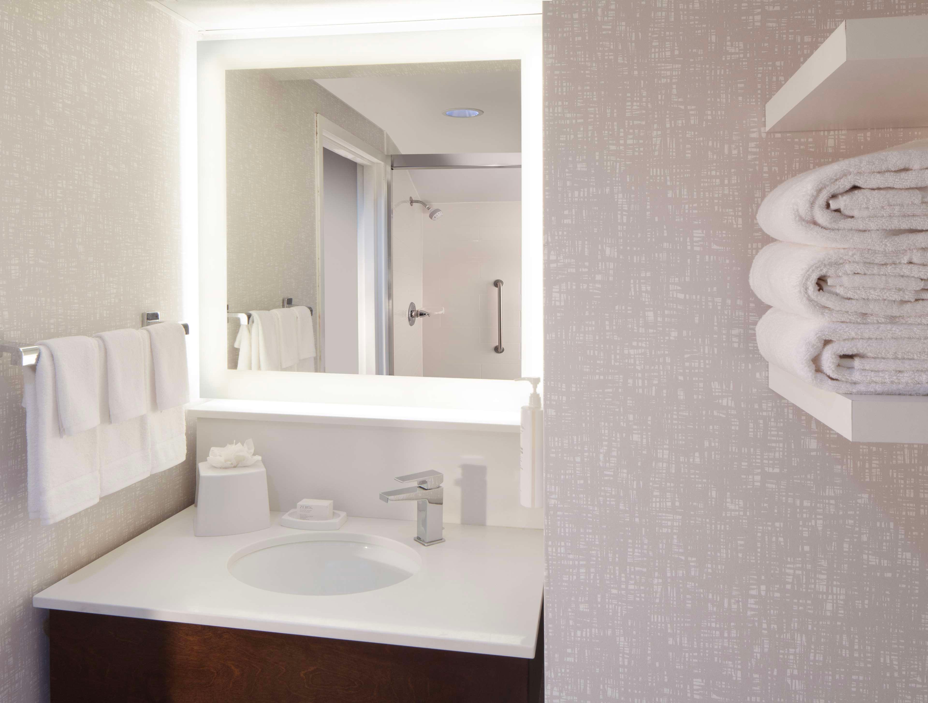 Hampton Inn & Ste Atlanta Airport North I85