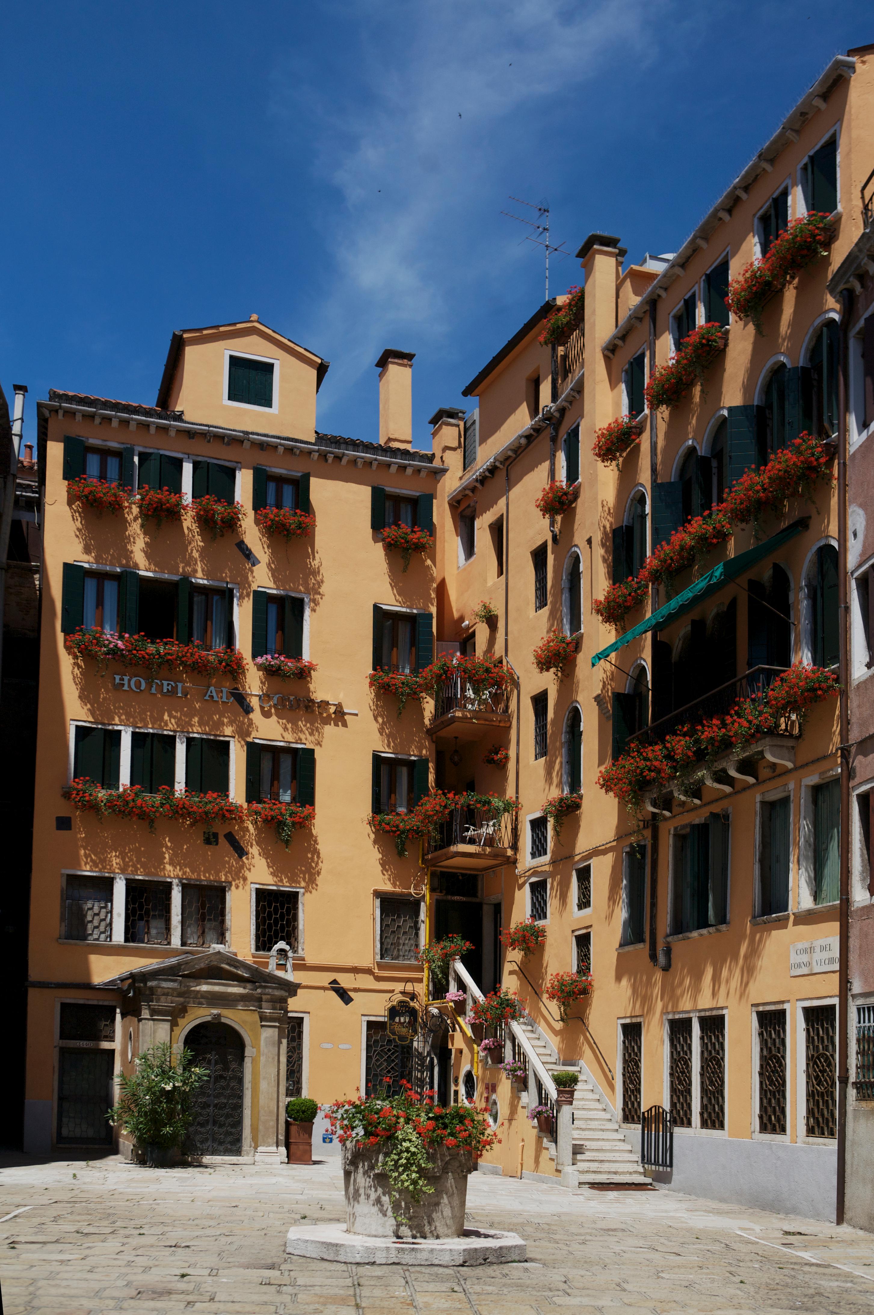 Al Codega - photo
