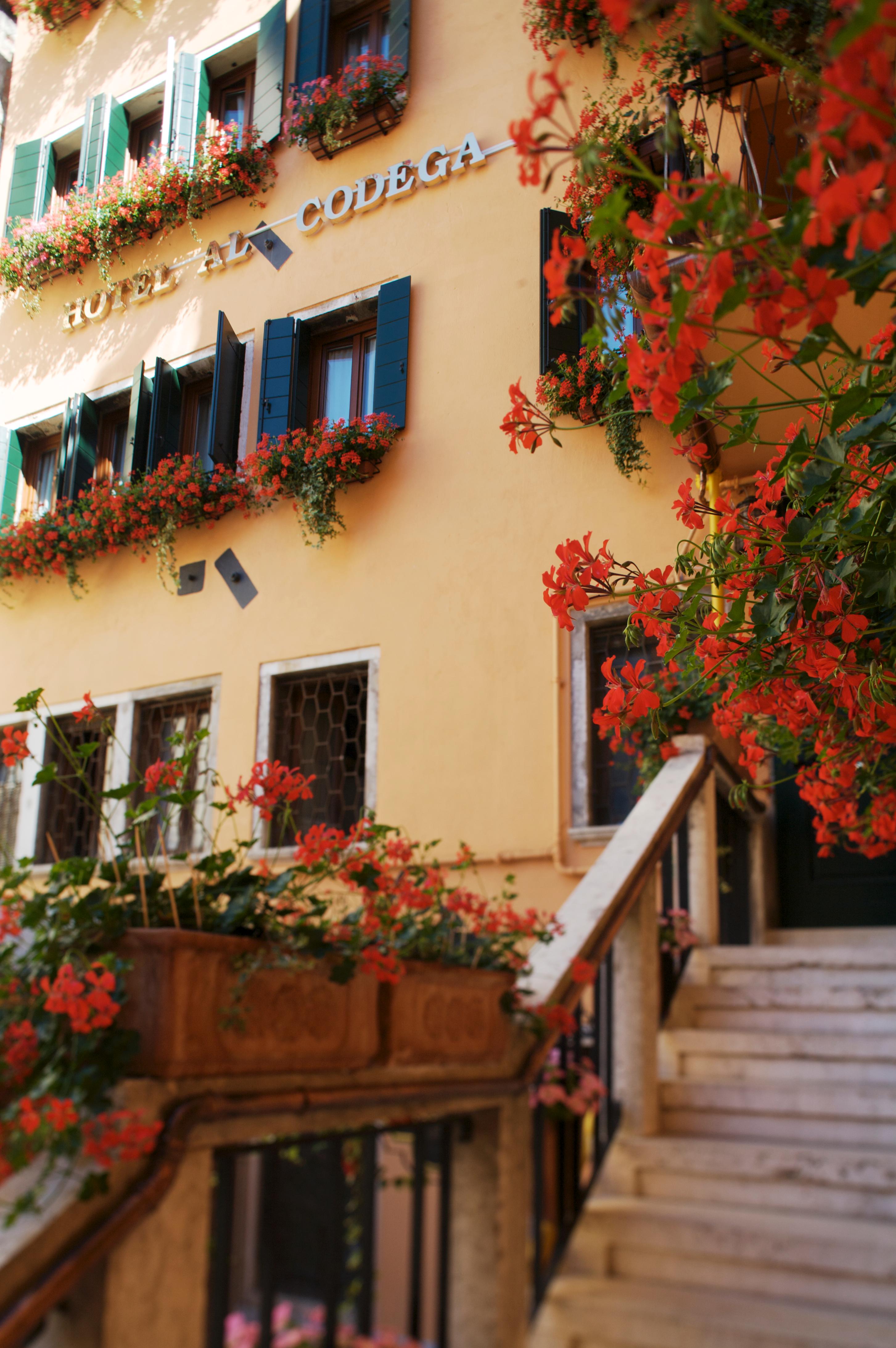 Al Codega - photo
