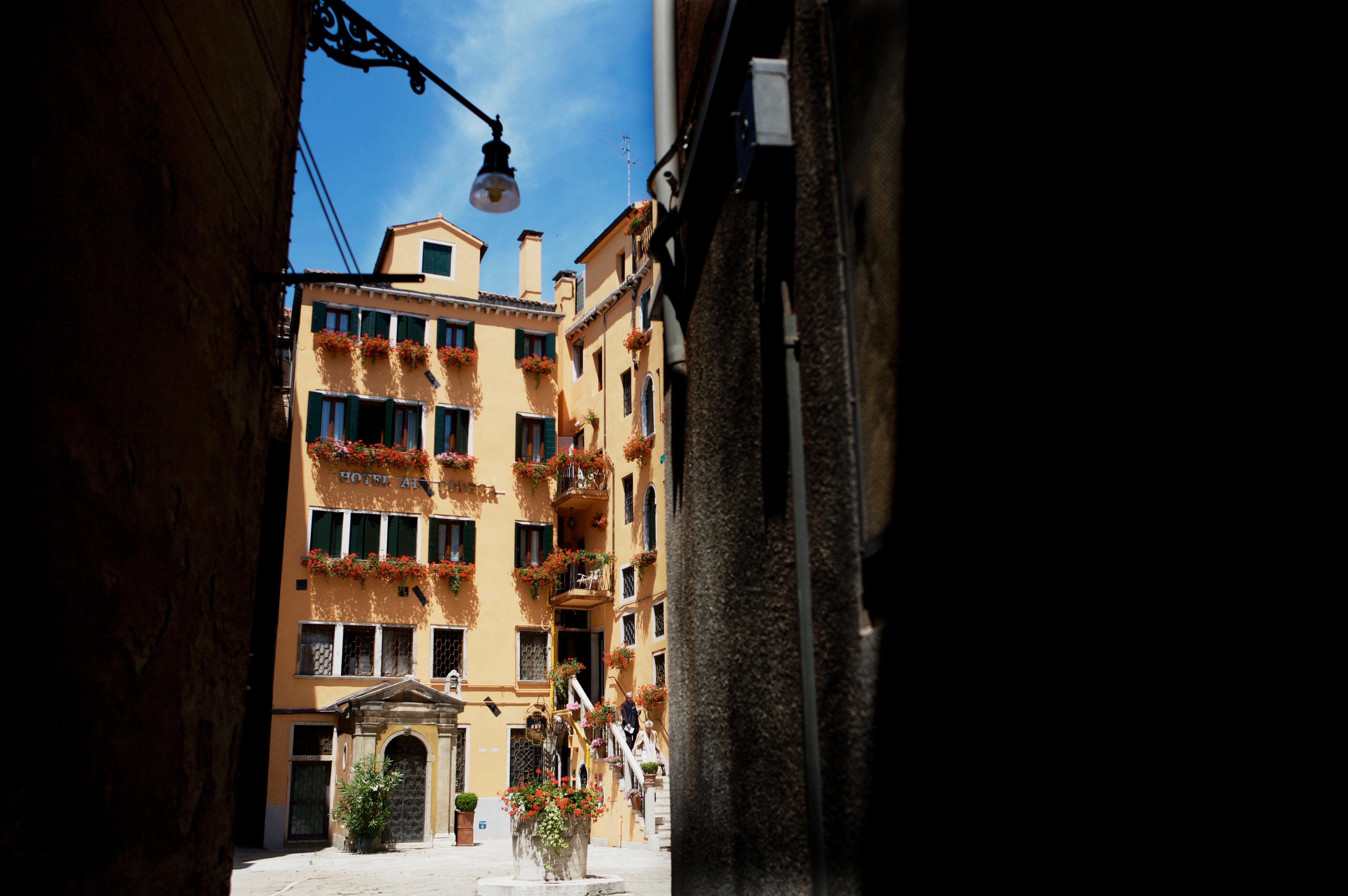Al Codega - photo