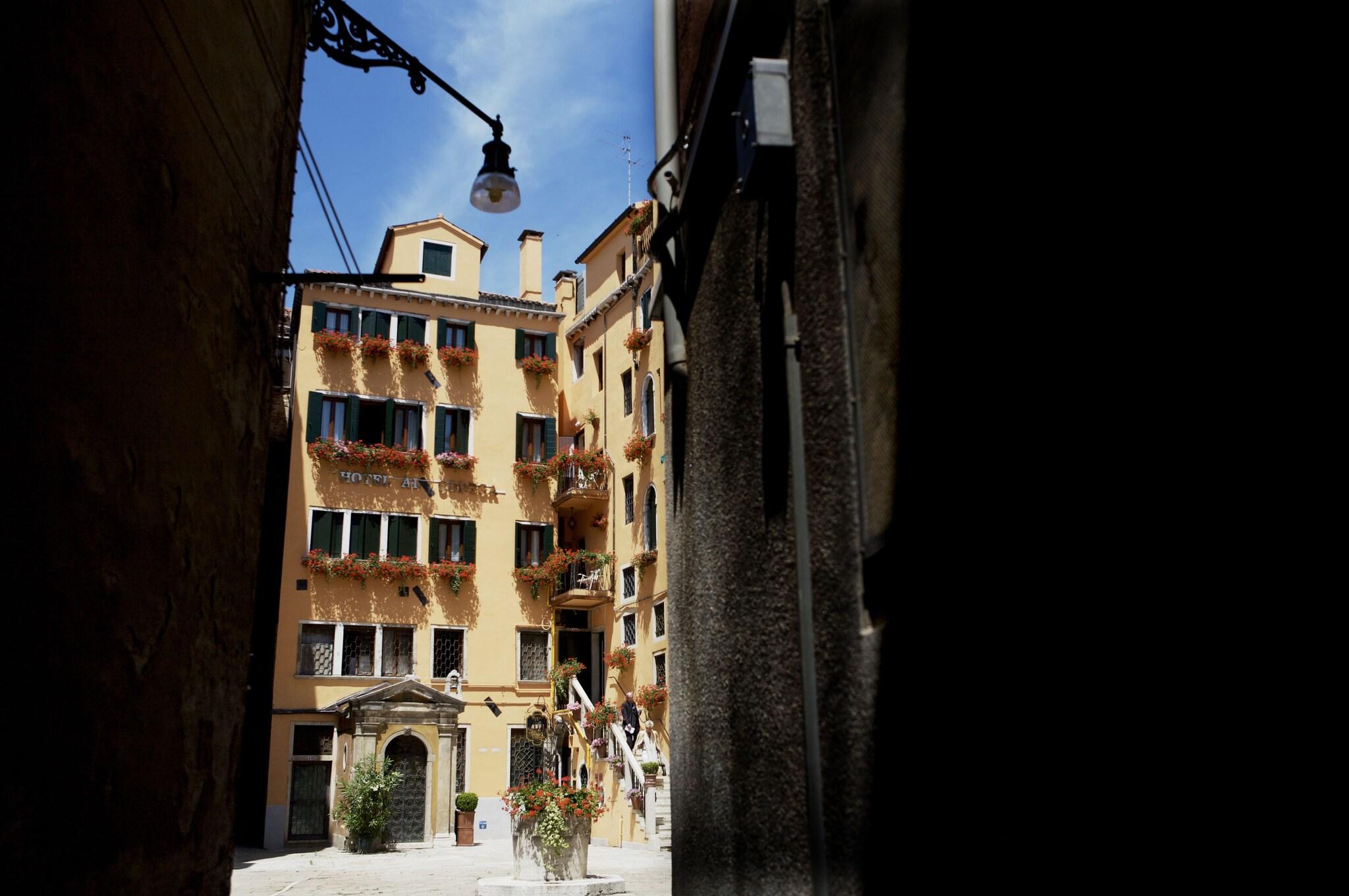 Al Codega - photo