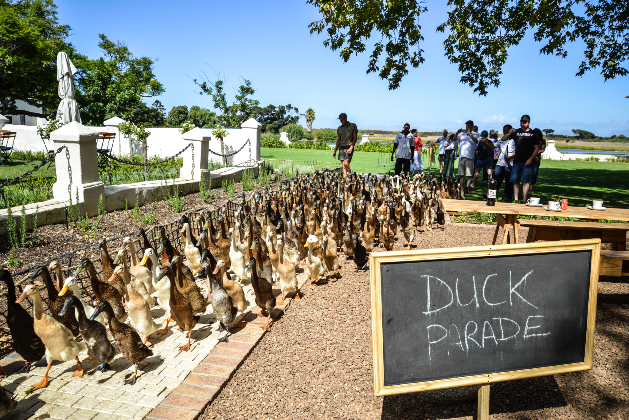 More Quarters Neighbourhood Hotel by null