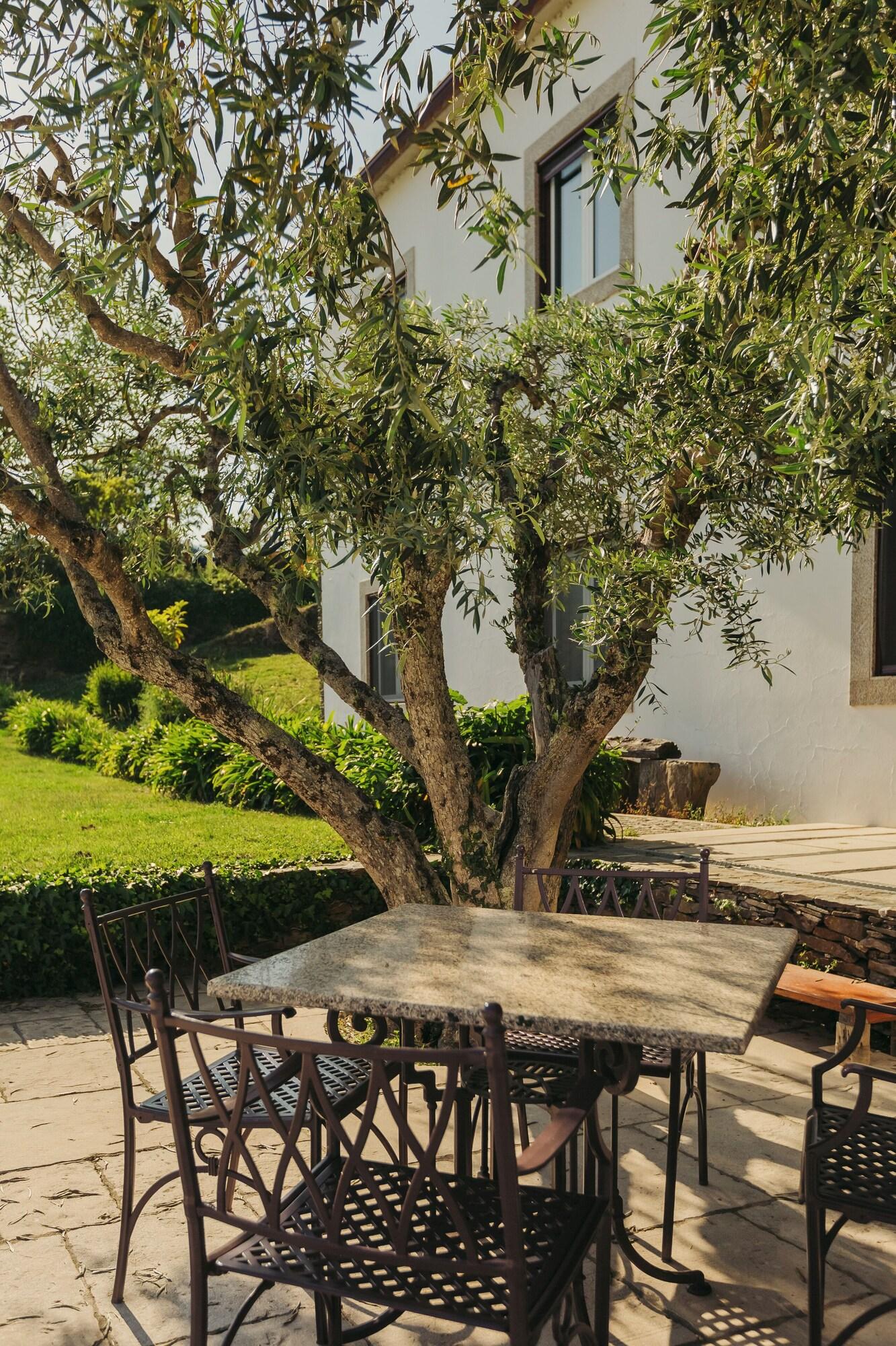 The Manor House Celeirós
