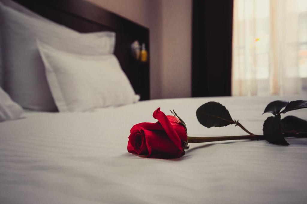 Hotel Cherica by null