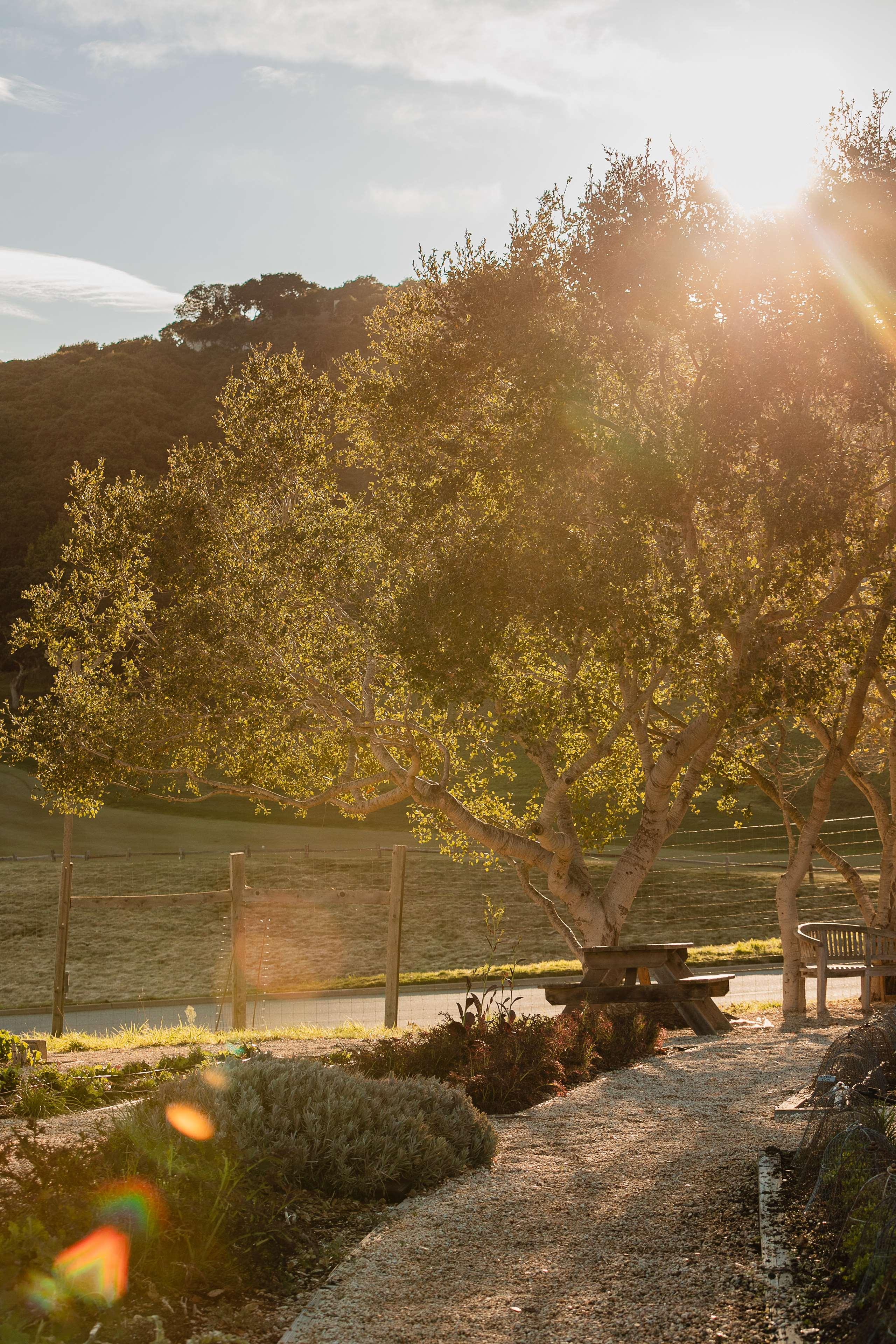 Carmel Valley Ranch in The Unbound Collection by