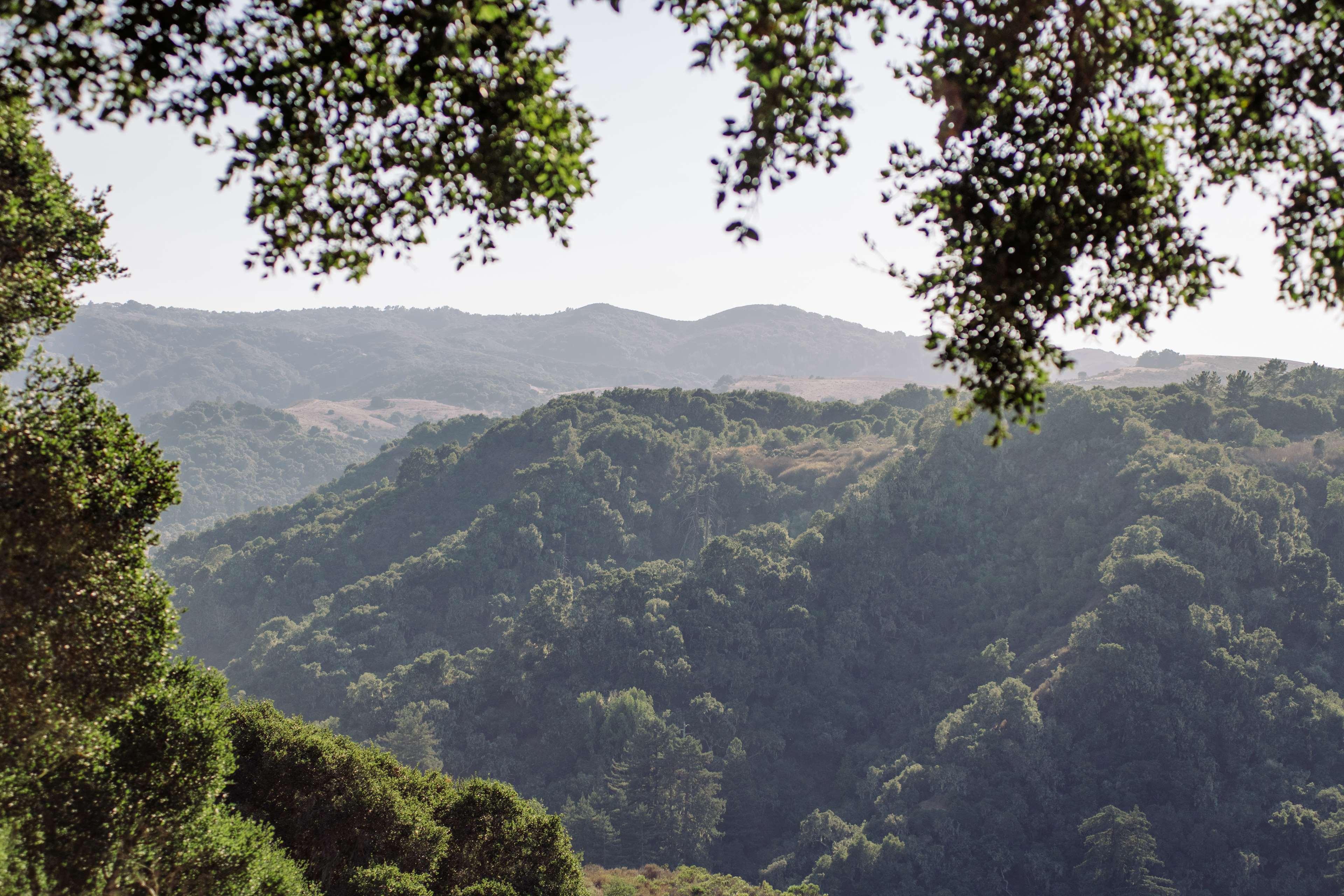 Carmel Valley Ranch - The Unbound Collection by Hyatt by null Carmel Valley Ranch - The Unbound Collection by Hyatt by null