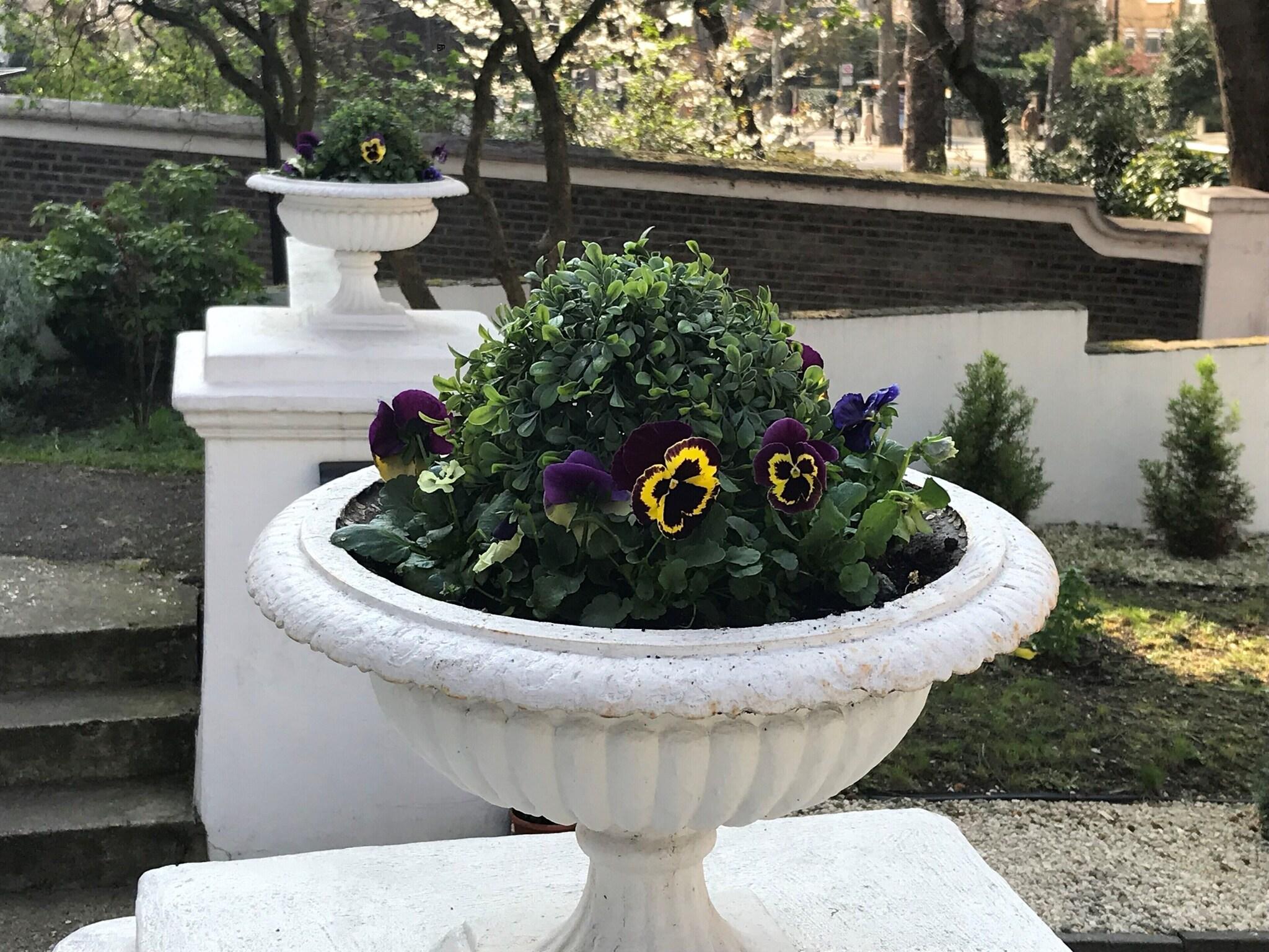 Ravna Gora Hotel by null