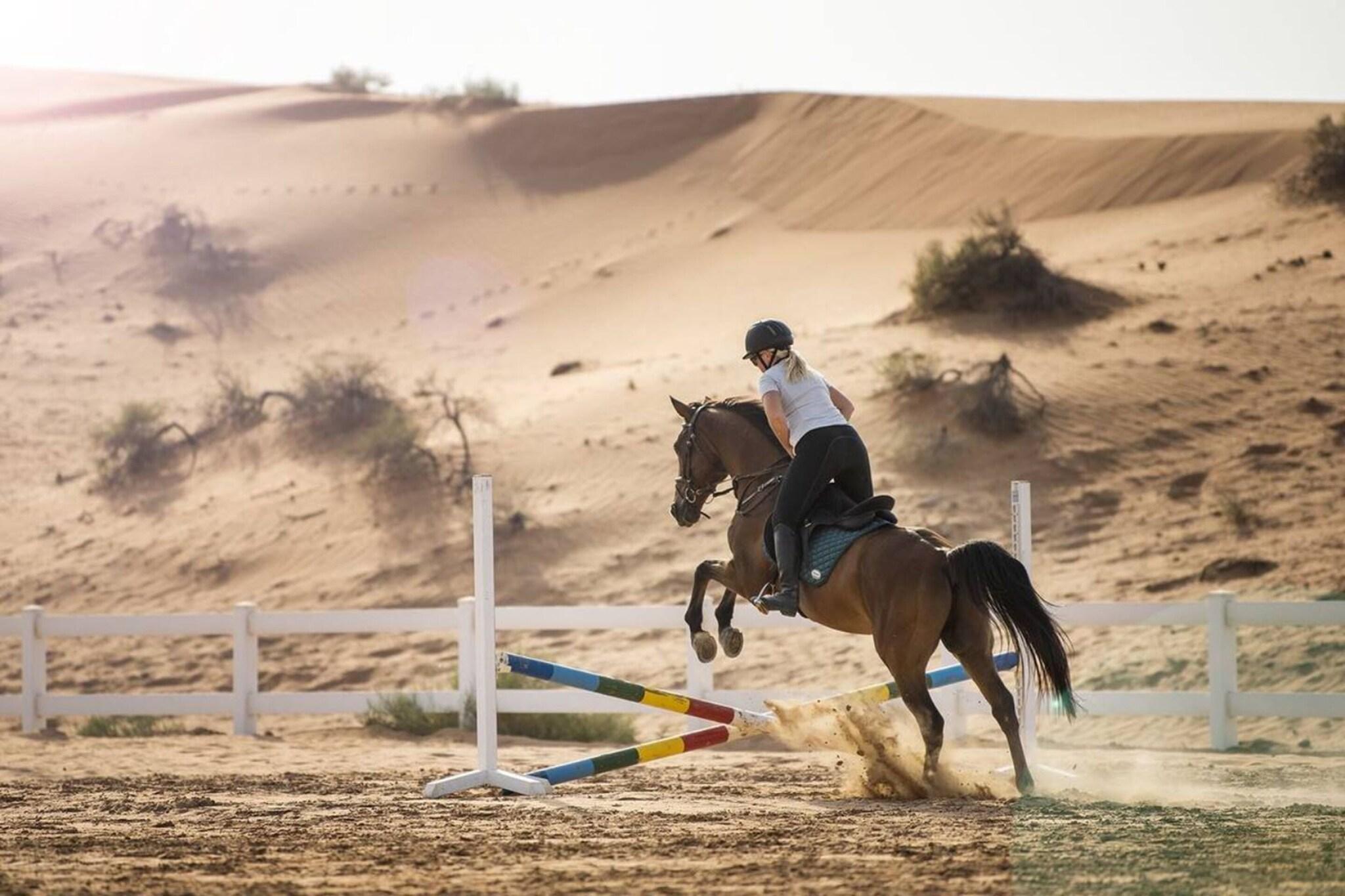 The Ritz-Carlton Ras Al Khaimah, Al Wadi Desert by null