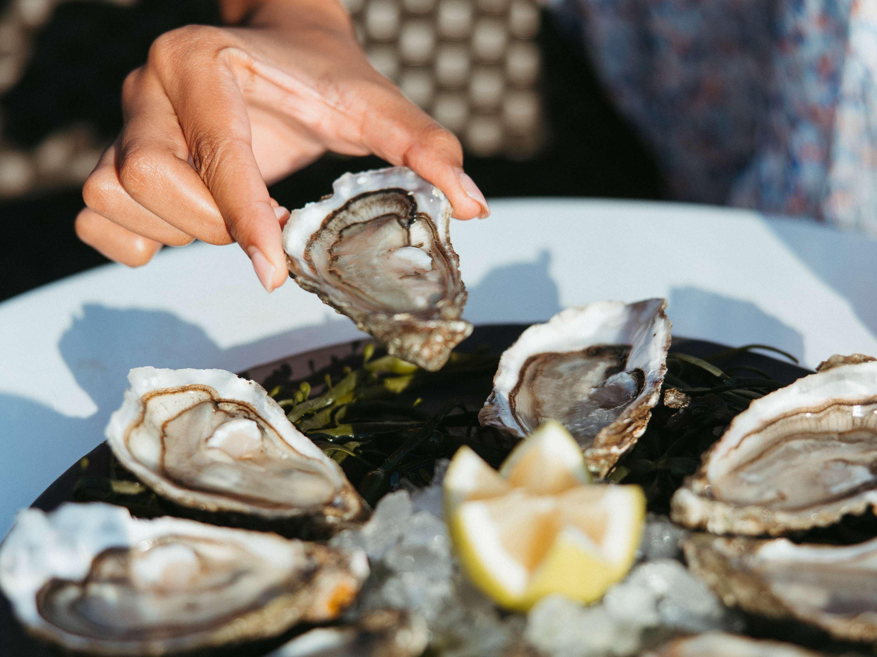 Sofitel Quiberon Thalassa sea & spa by null