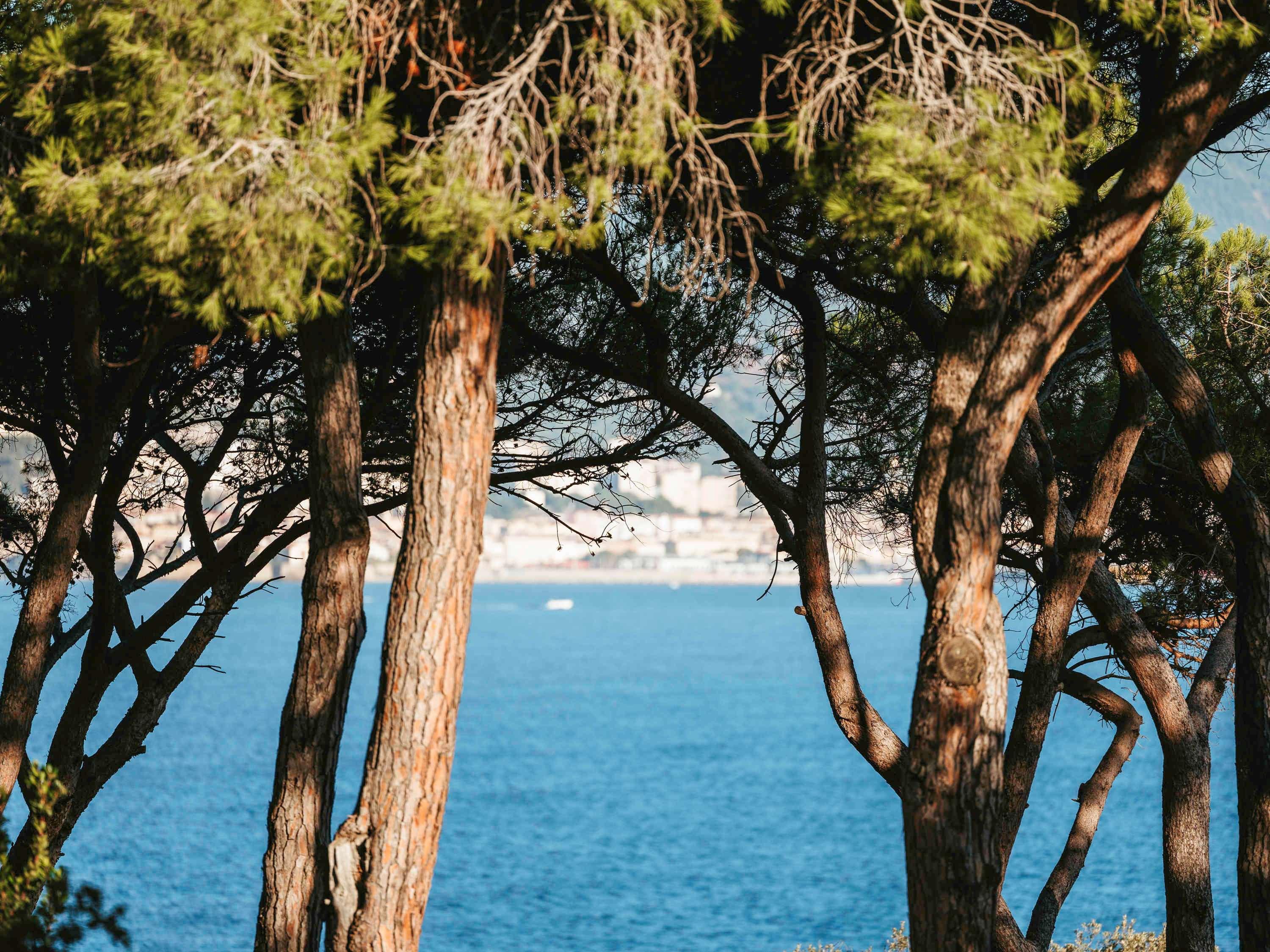 Sofitel Golfe d'Ajaccio Thalassa sea & spa by null
