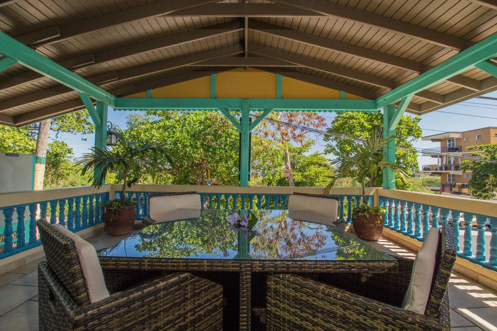 Lazy Parrot Inn by null