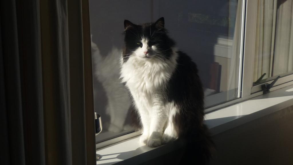 Carisbrook Motel by null