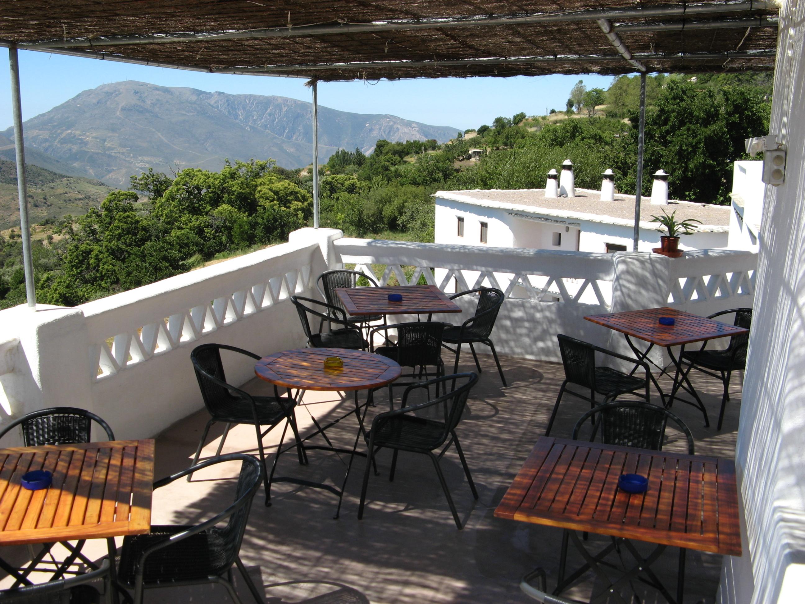La Oveja Verde