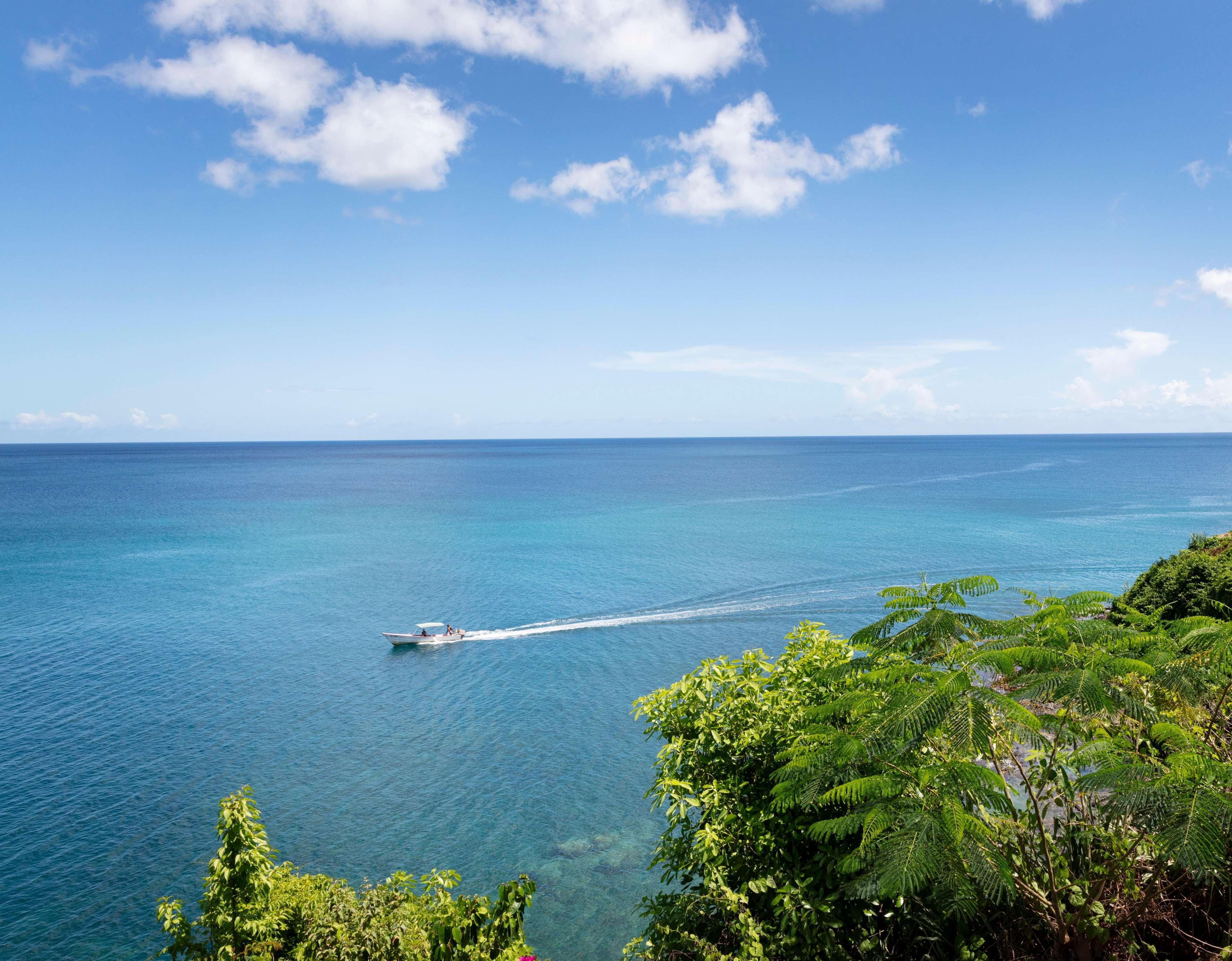 Sandals Regency La Toc by null