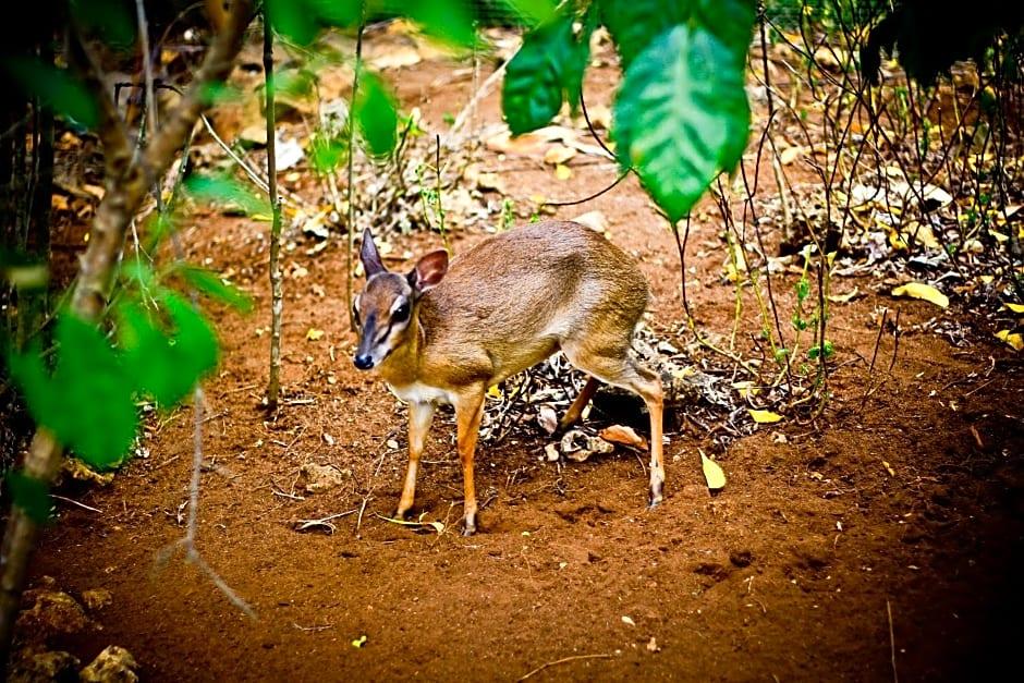 Ora Resort Samaki Lodge - photo