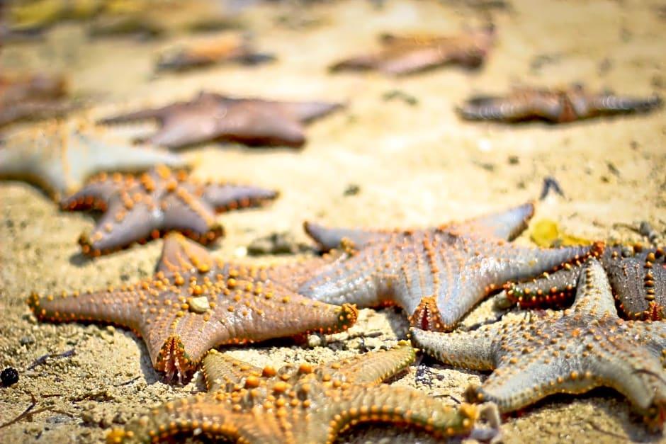 Ora Resort Samaki Lodge - photo