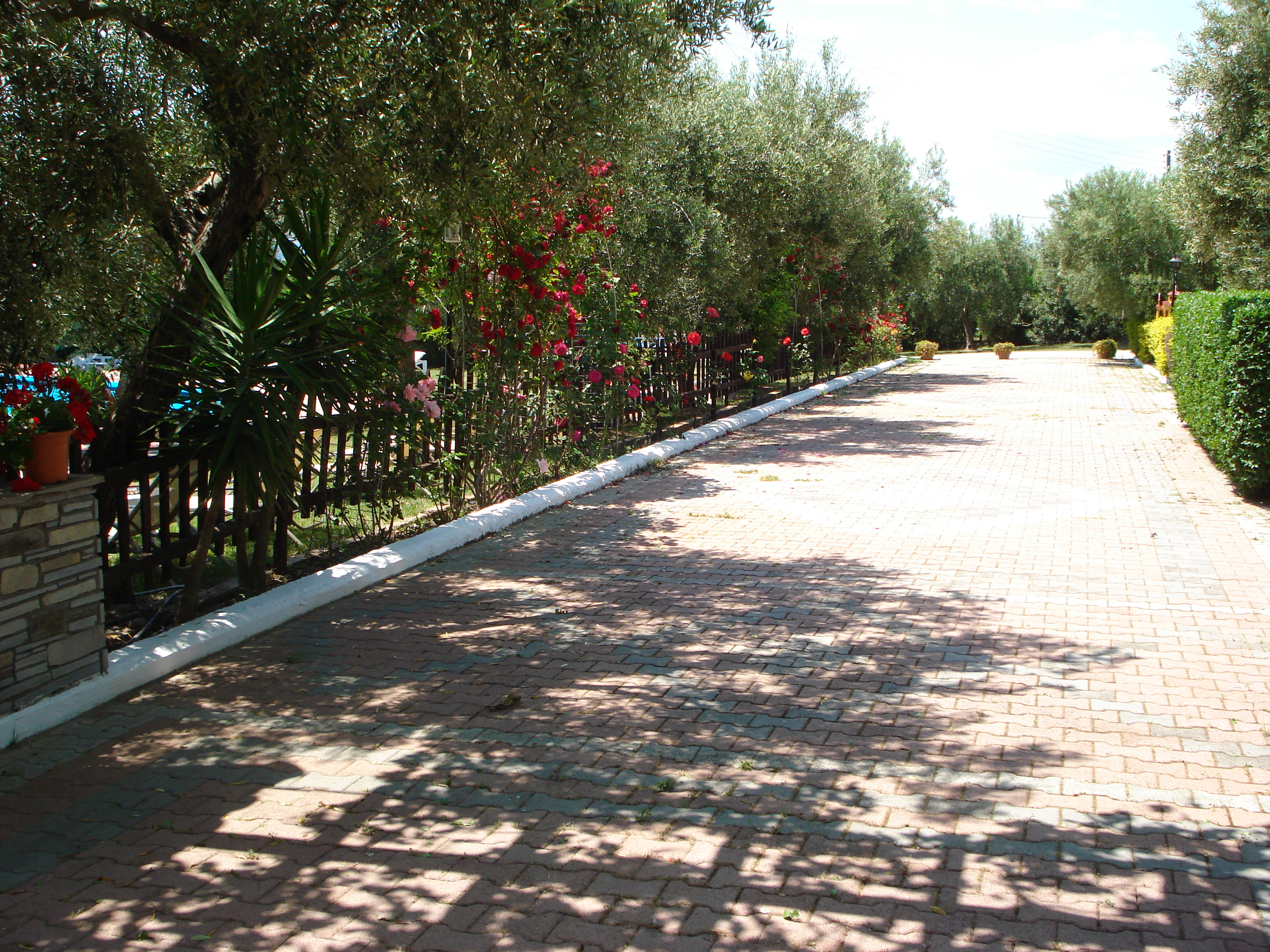 Asteris Village - photo