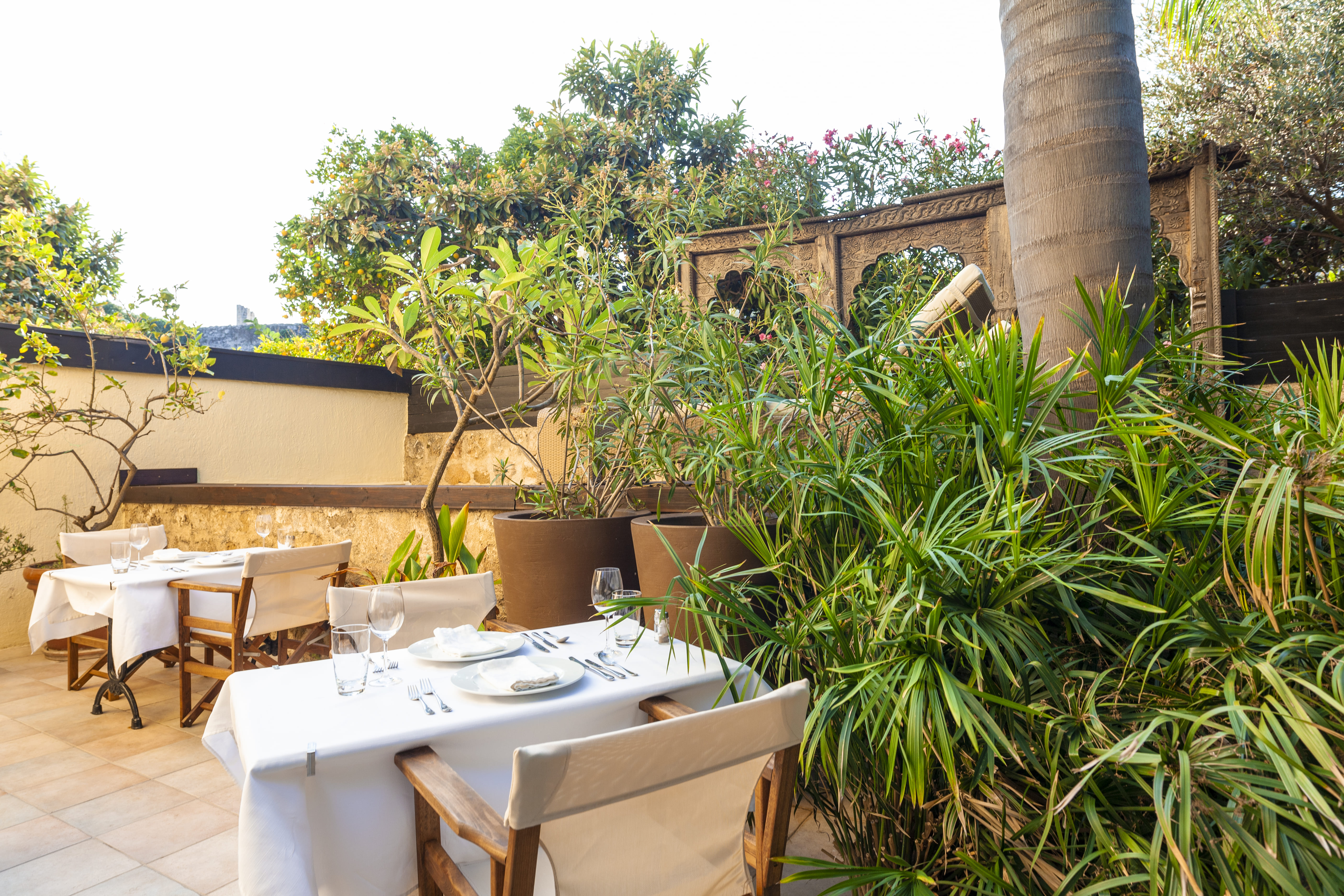 Spirit of the Knights - Poză