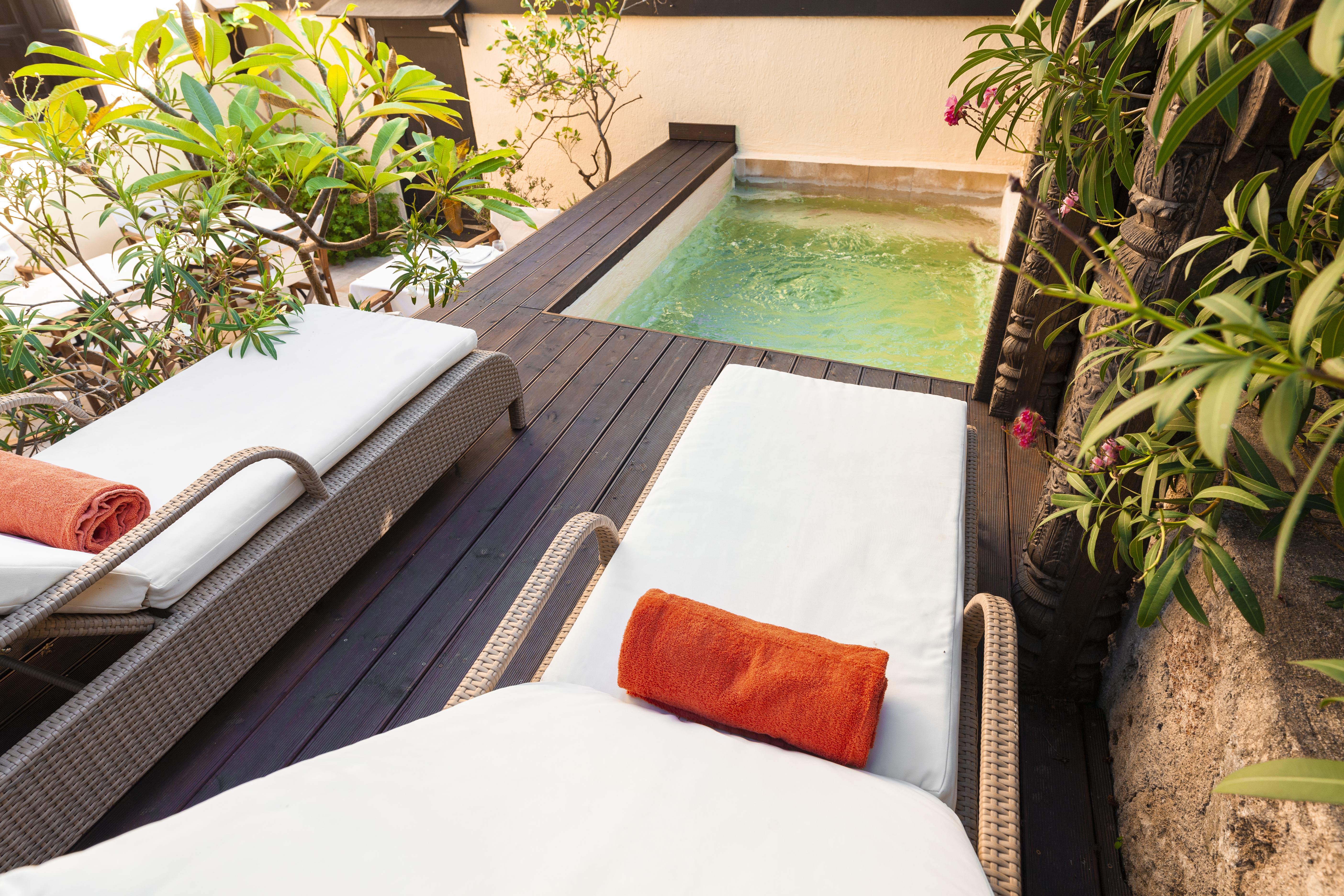 Spirit of the Knights - Poză