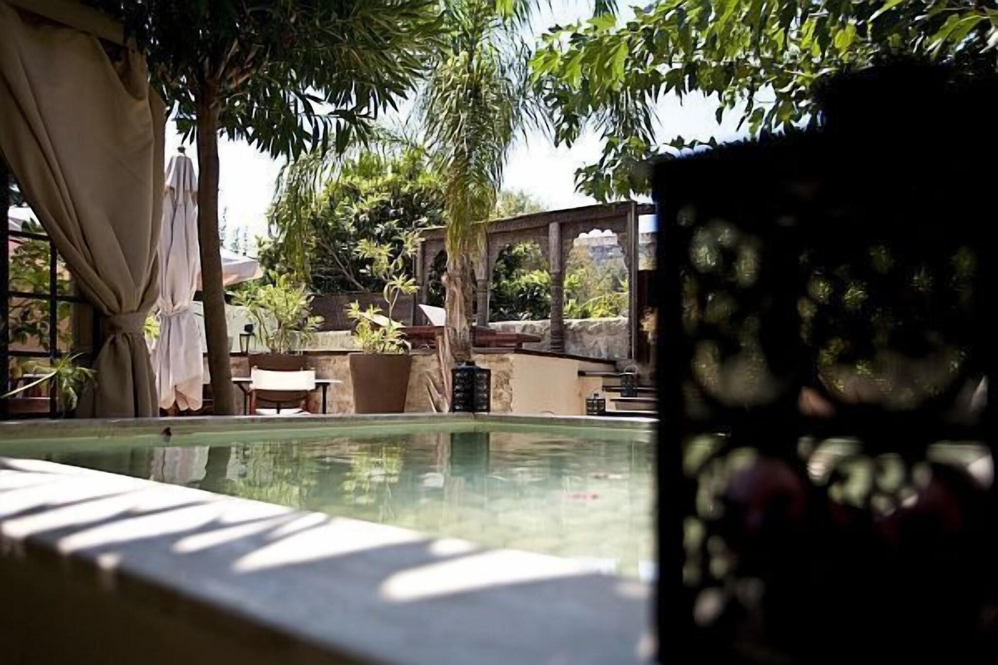 Spirit of the Knights - Poză