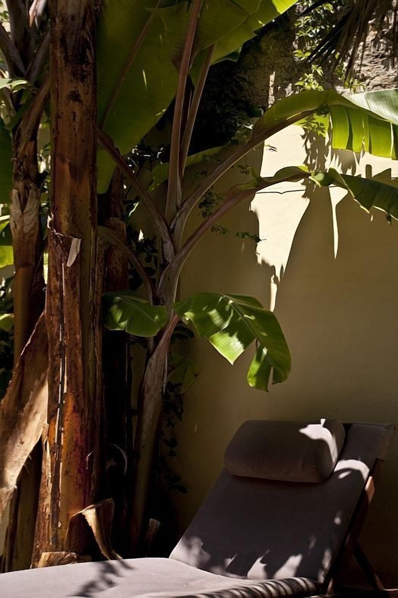 Spirit of the Knights - Poză